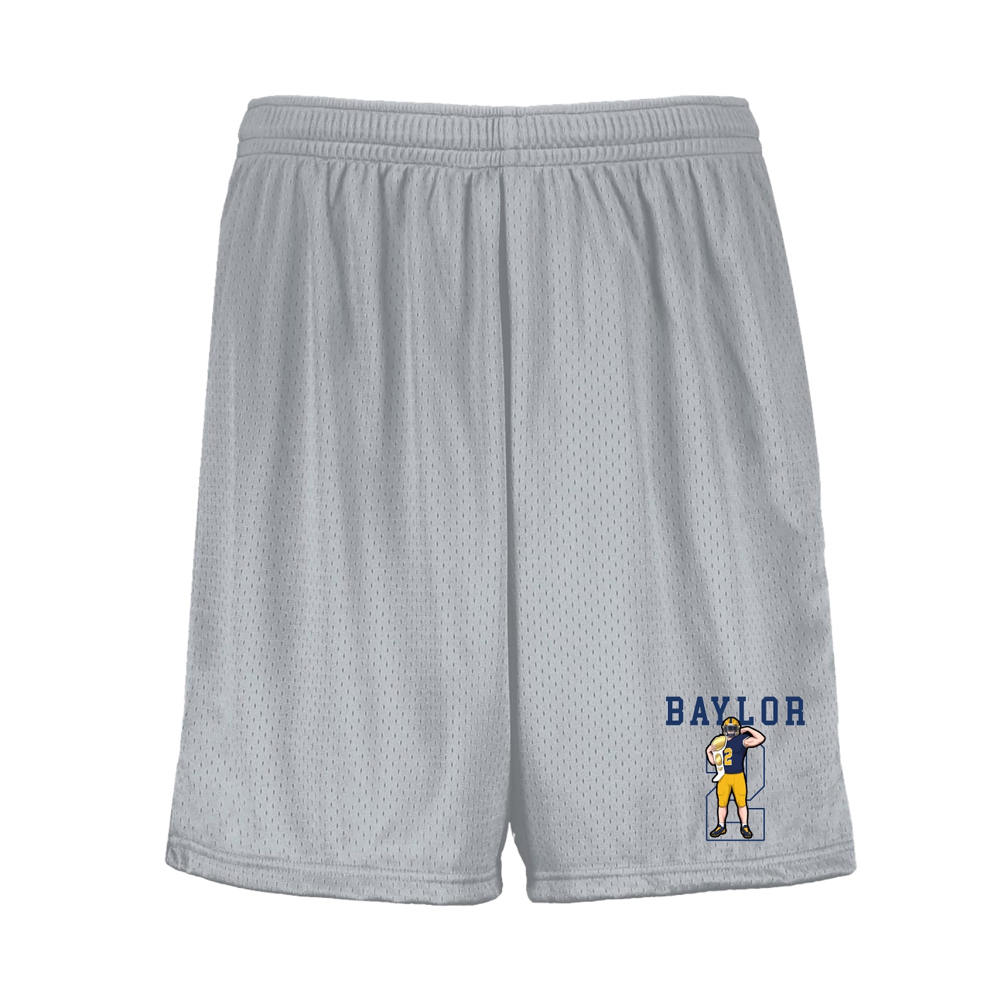 Shorts — Shirsey in Silver