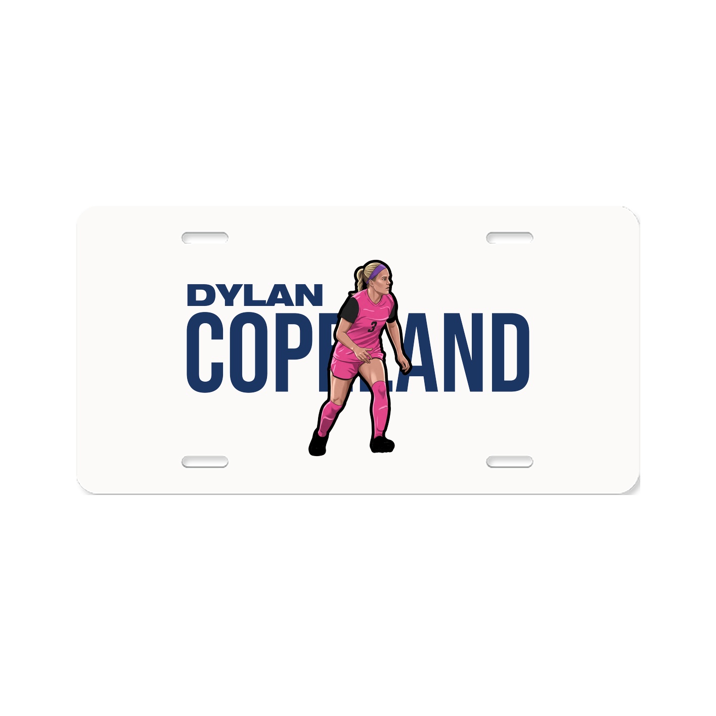 License Plate