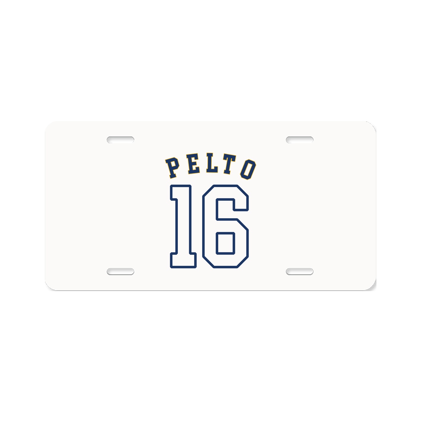 License Plate
