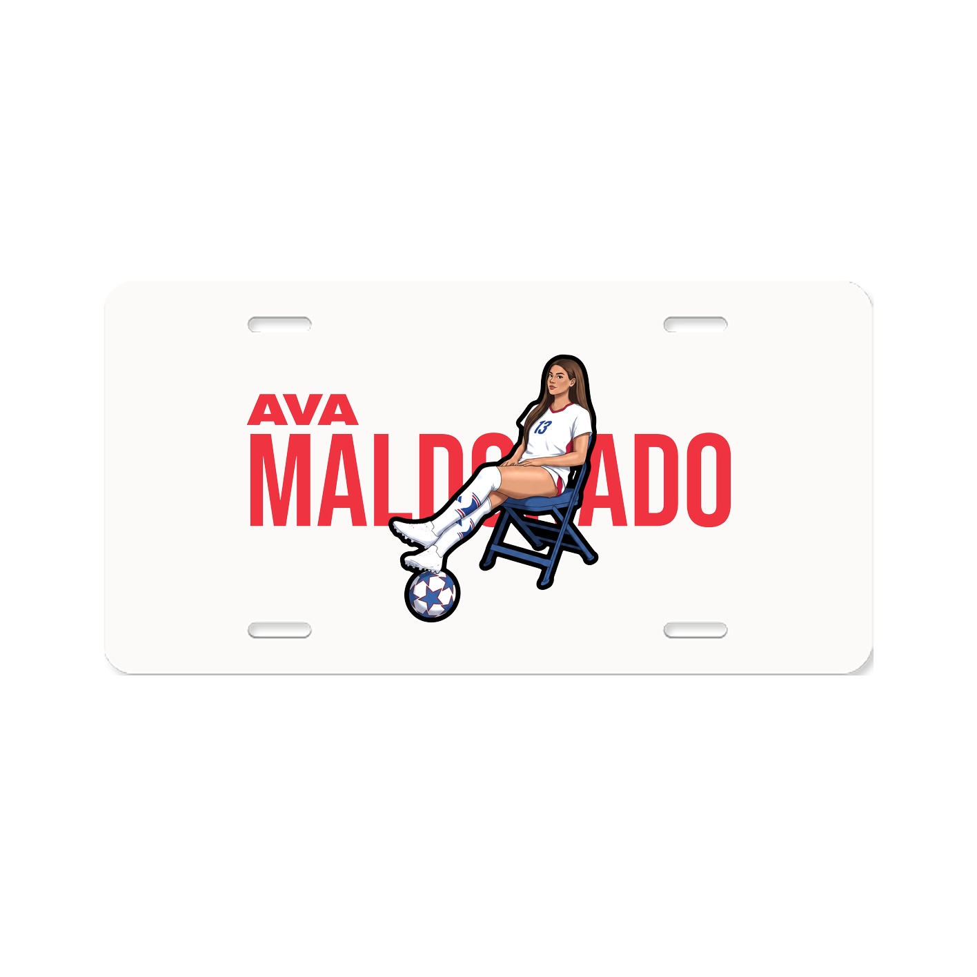 License Plate