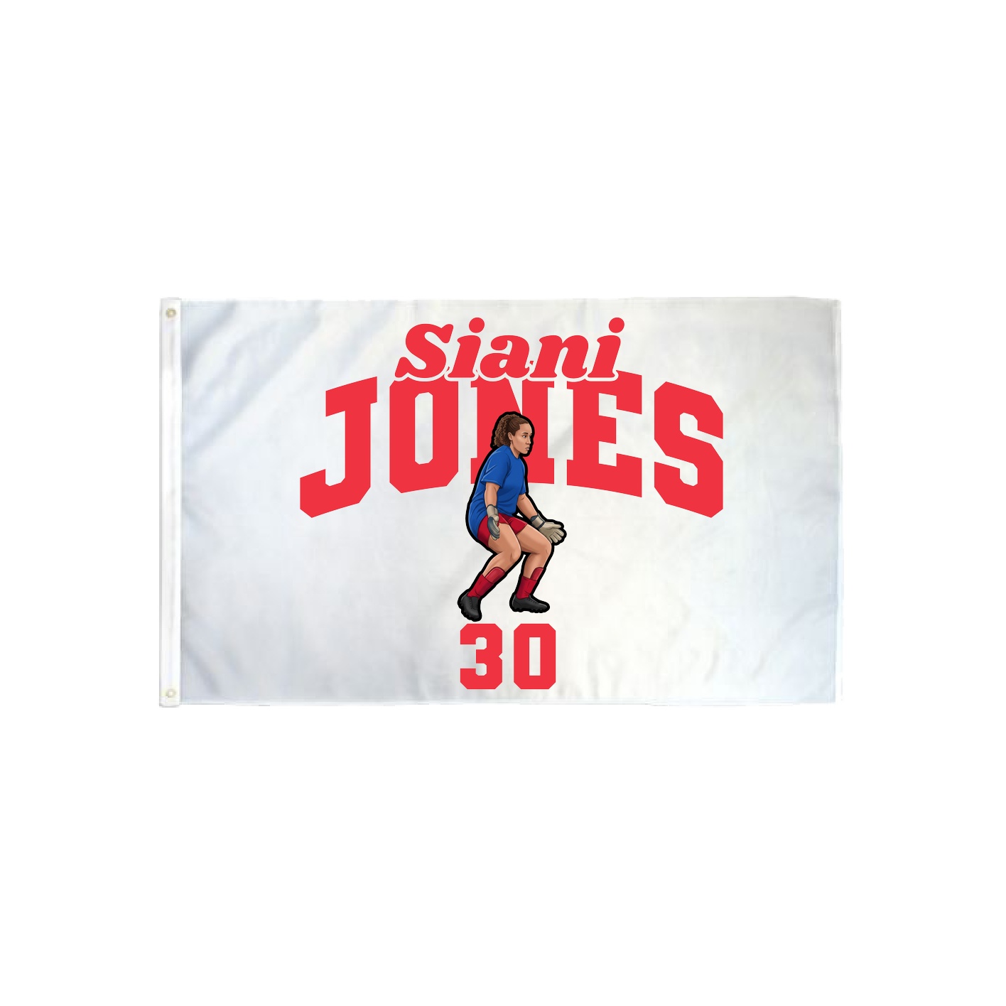 3x5 Flag — Signature Arch in Classic