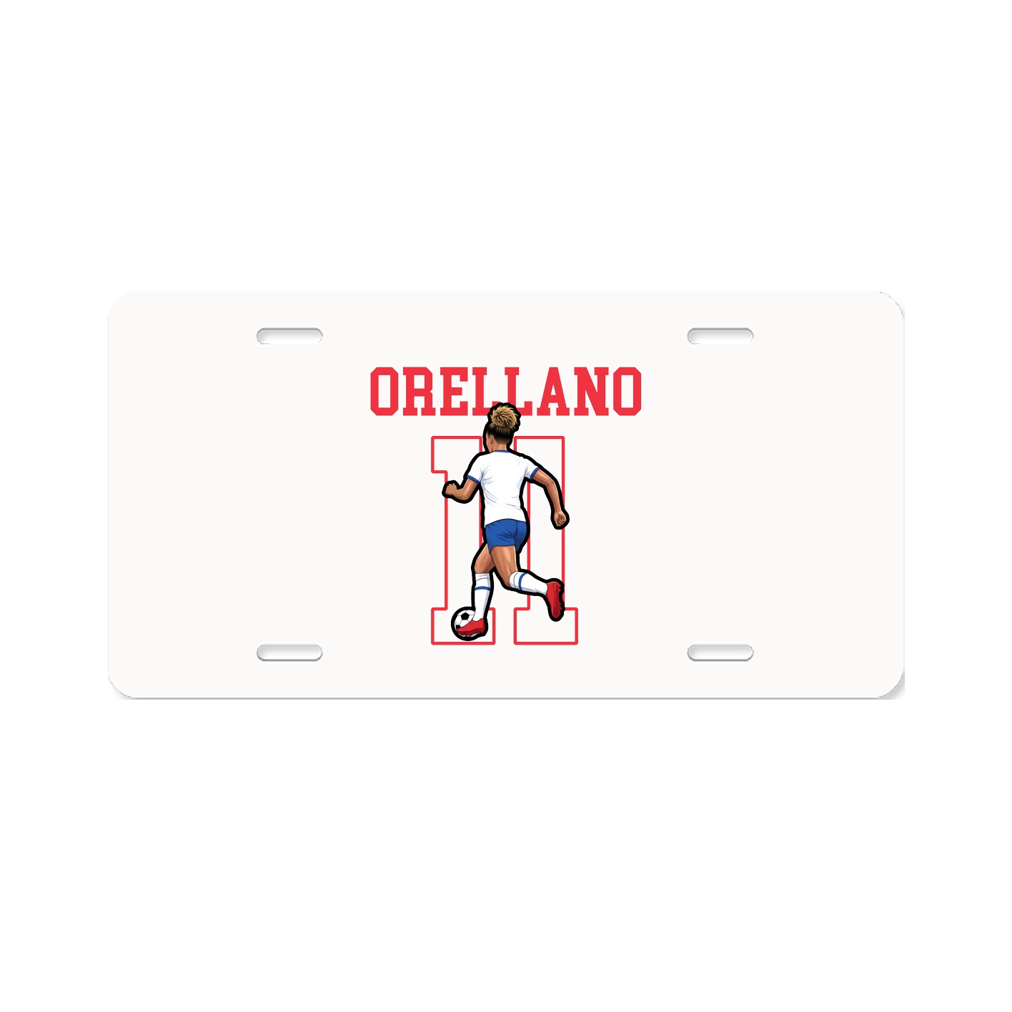 License Plate