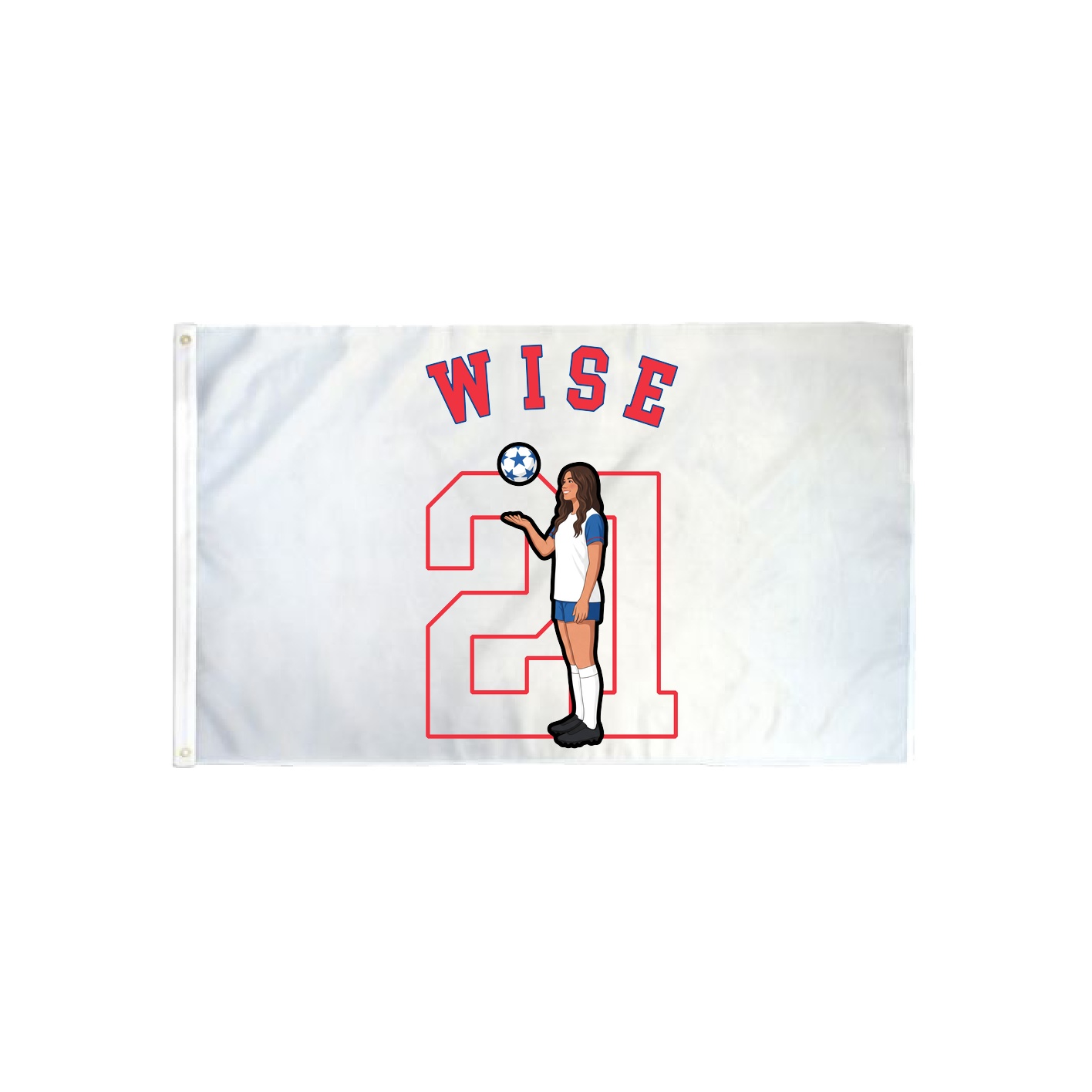 3x5 Flag — Shirsey Arch in Classic