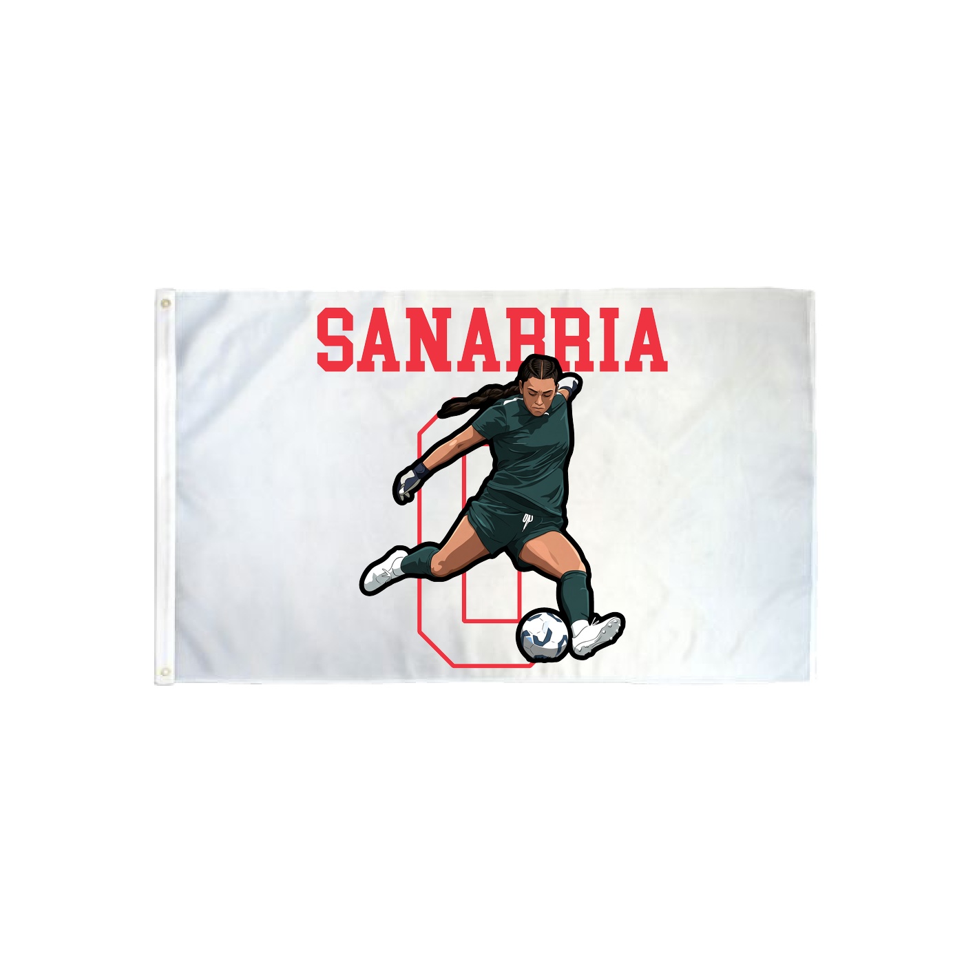 3x5 Flag — Shirsey in Classic