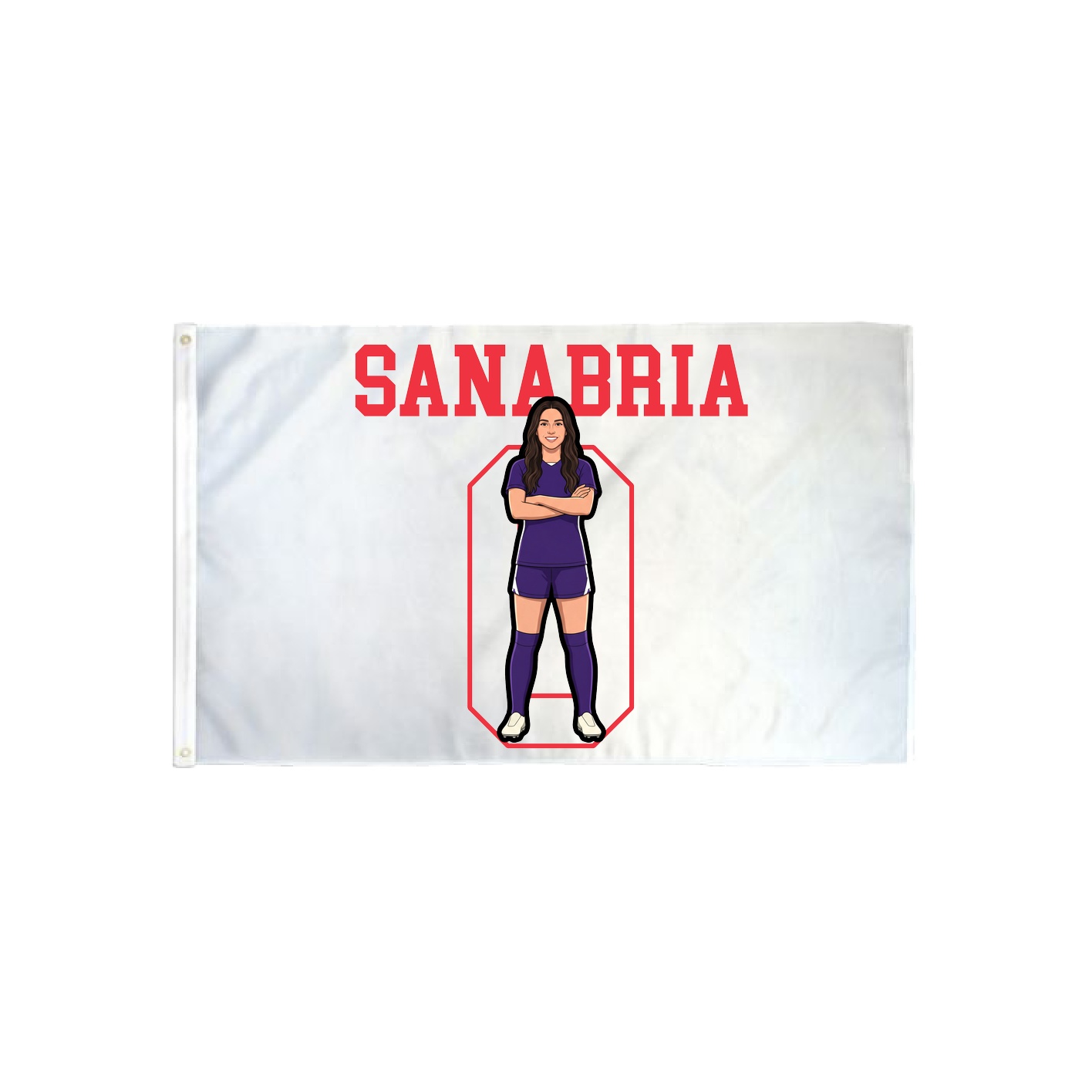 3x5 Flag