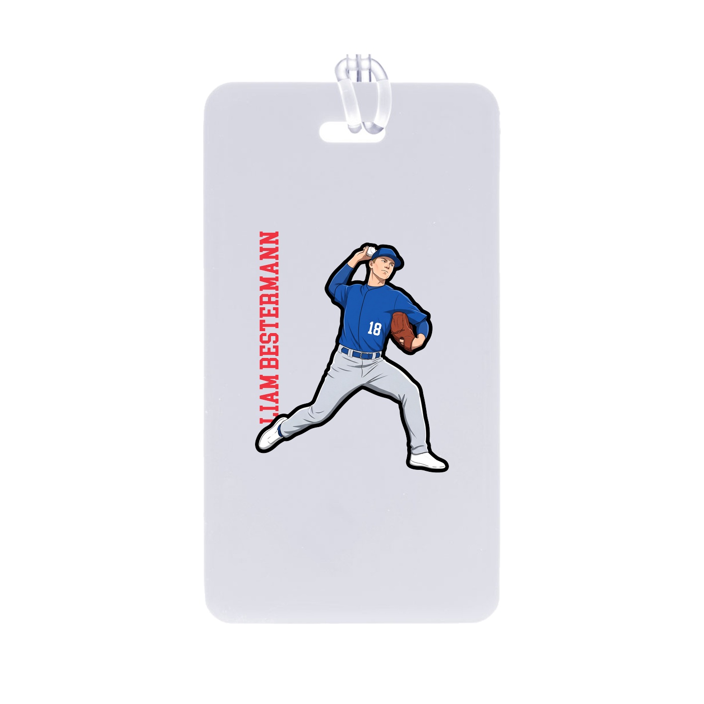 Identity Bag Tag