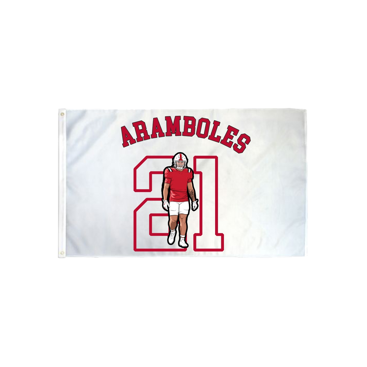 3x5 Flag — Shirsey Arch in Classic