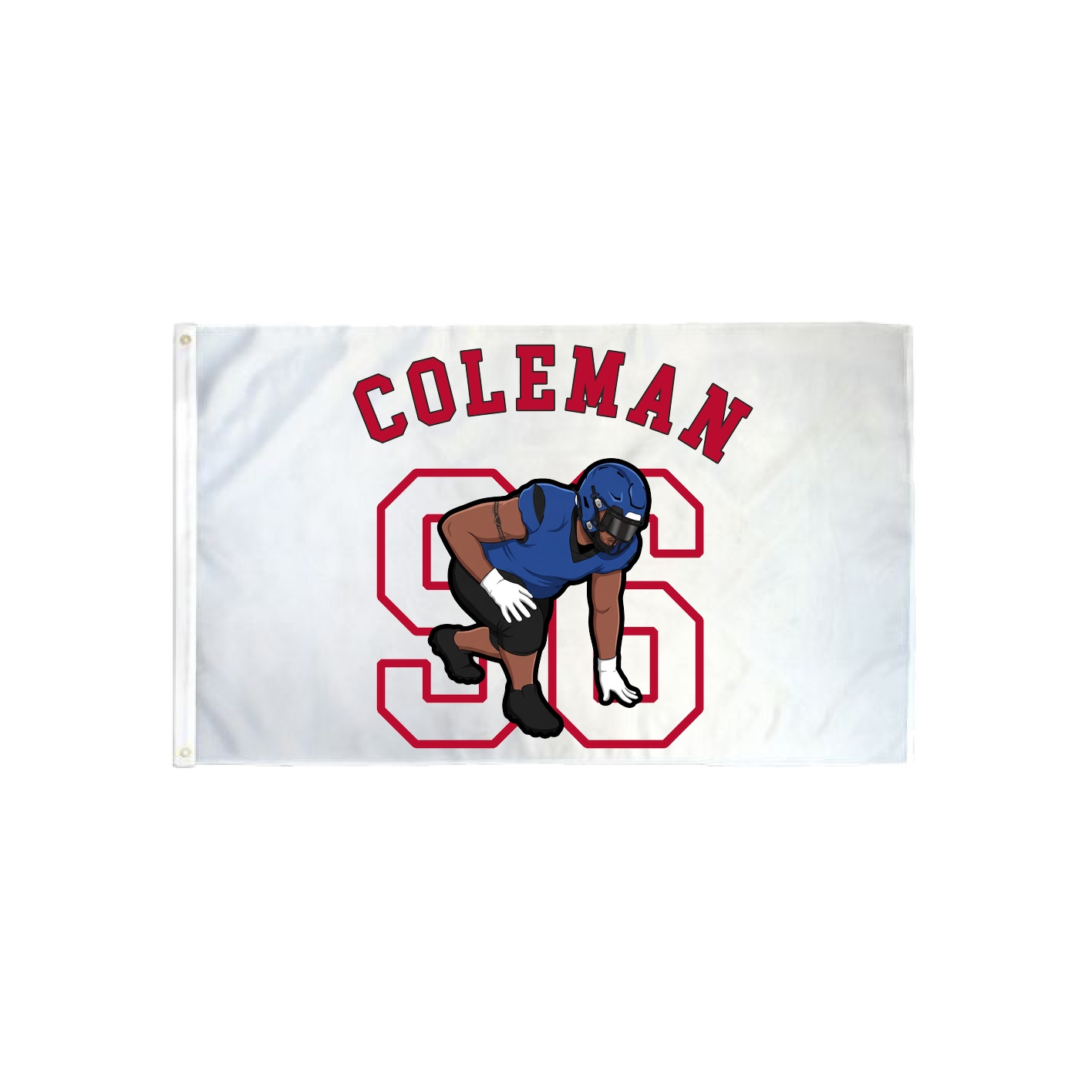 3x5 Flag — Shirsey Arch in Classic