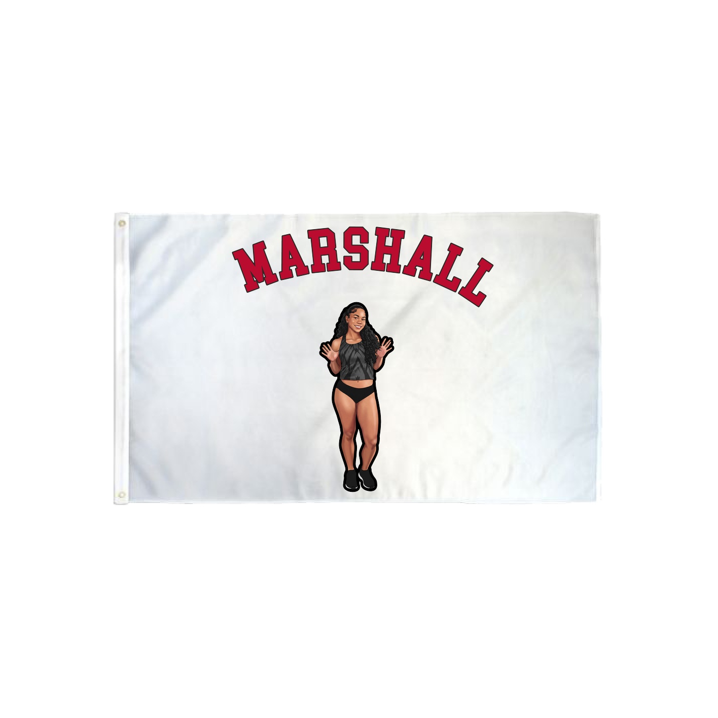 3x5 Flag — Shirsey Arch in Classic