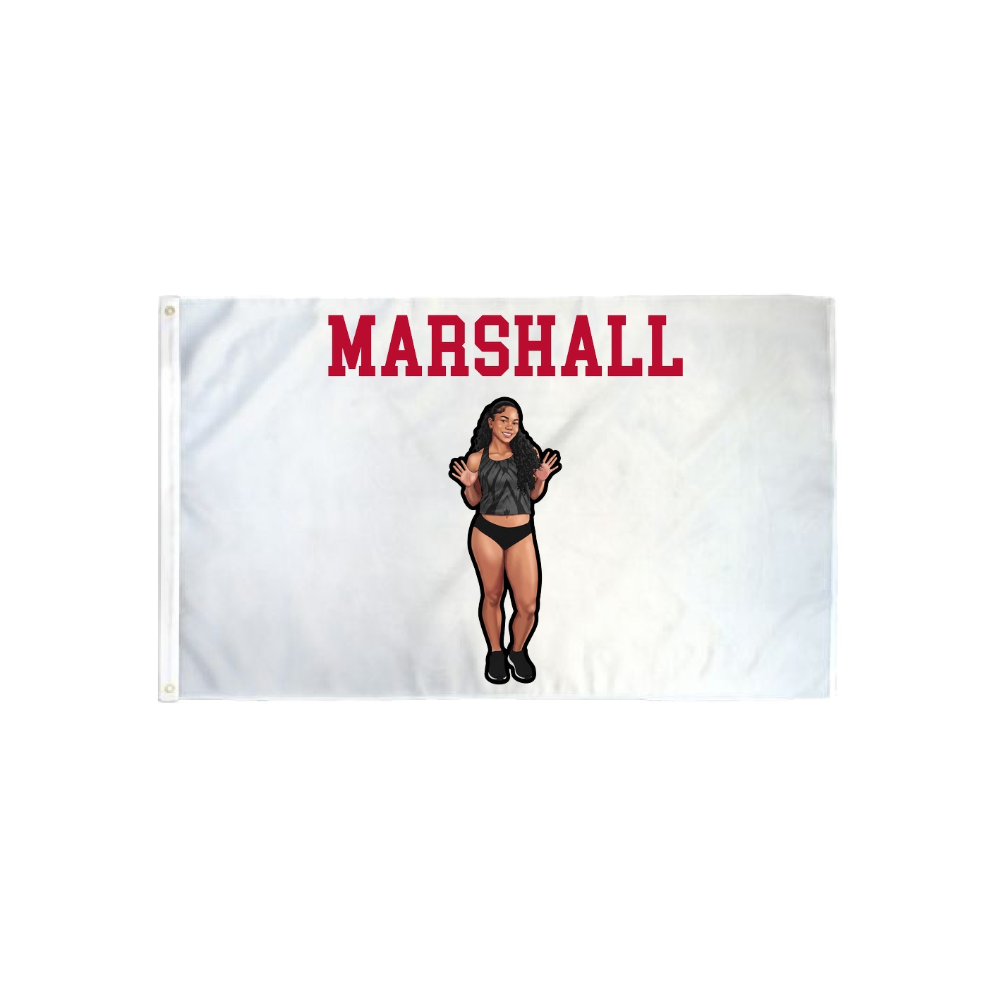 3x5 Flag — Shirsey in Classic