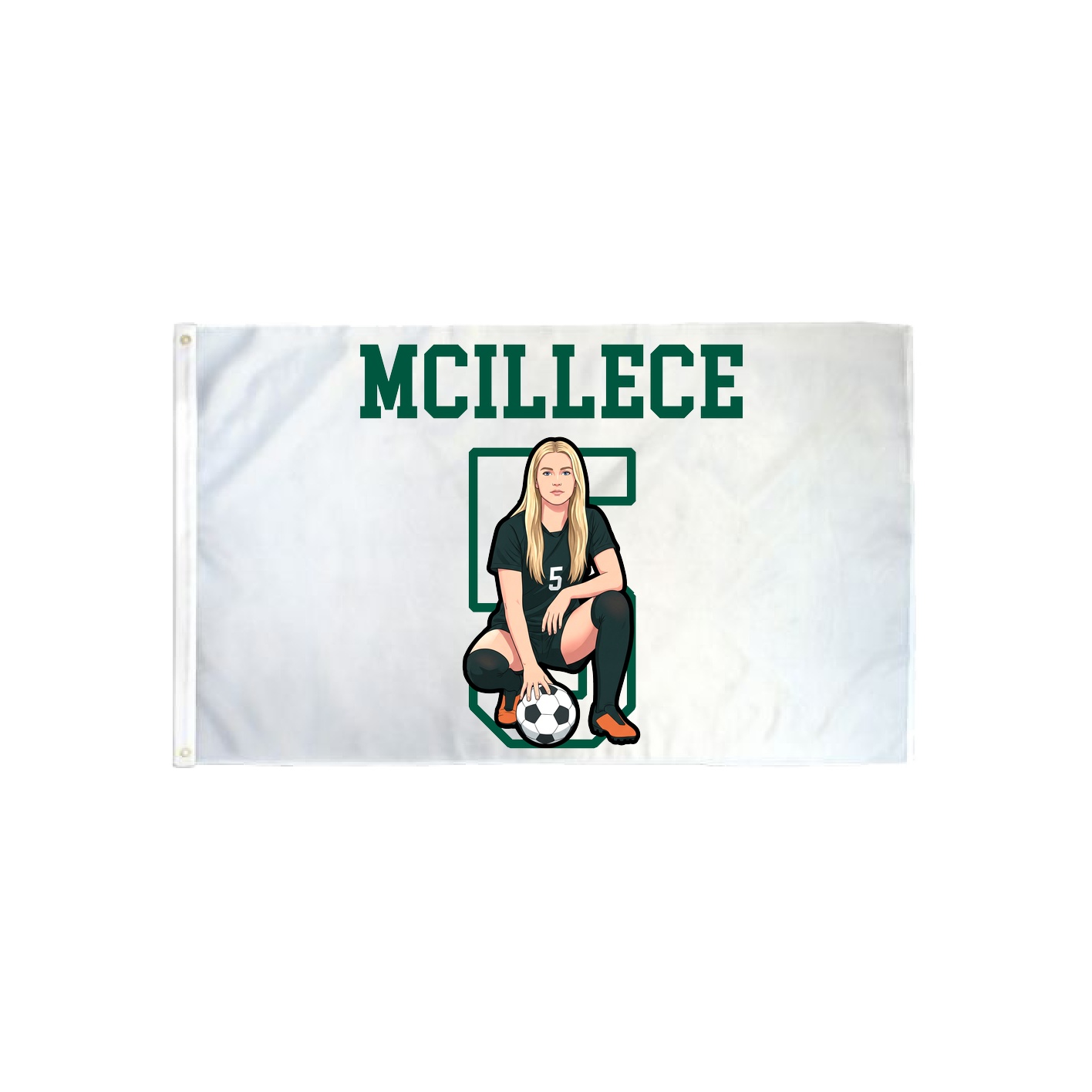3x5 Flag — Shirsey in Classic