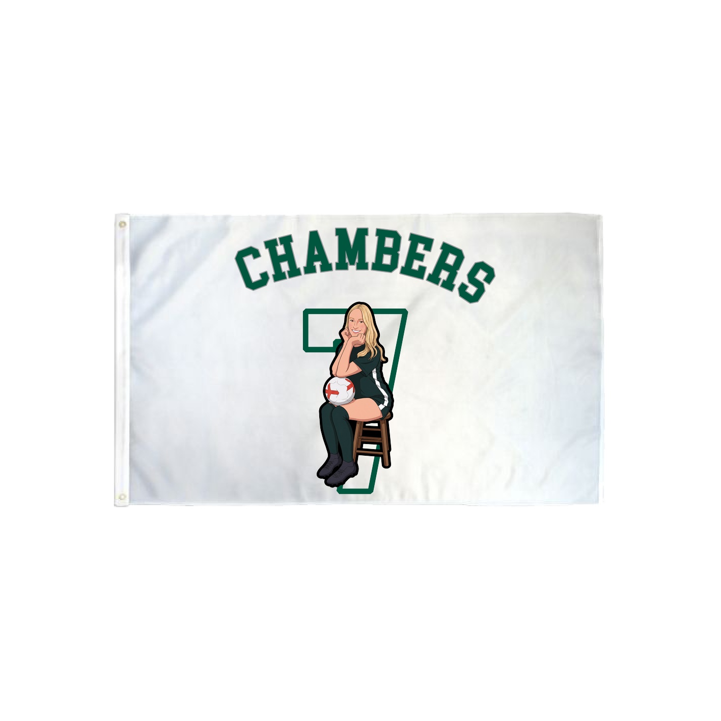 3x5 Flag — Shirsey Arch in Classic