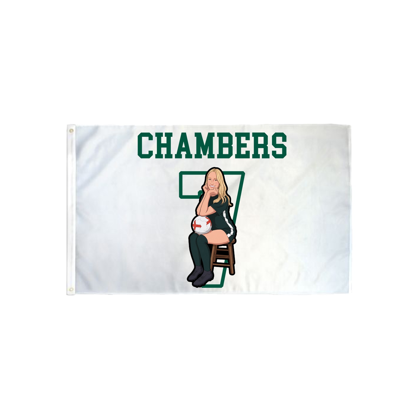 3x5 Flag — Shirsey in Classic