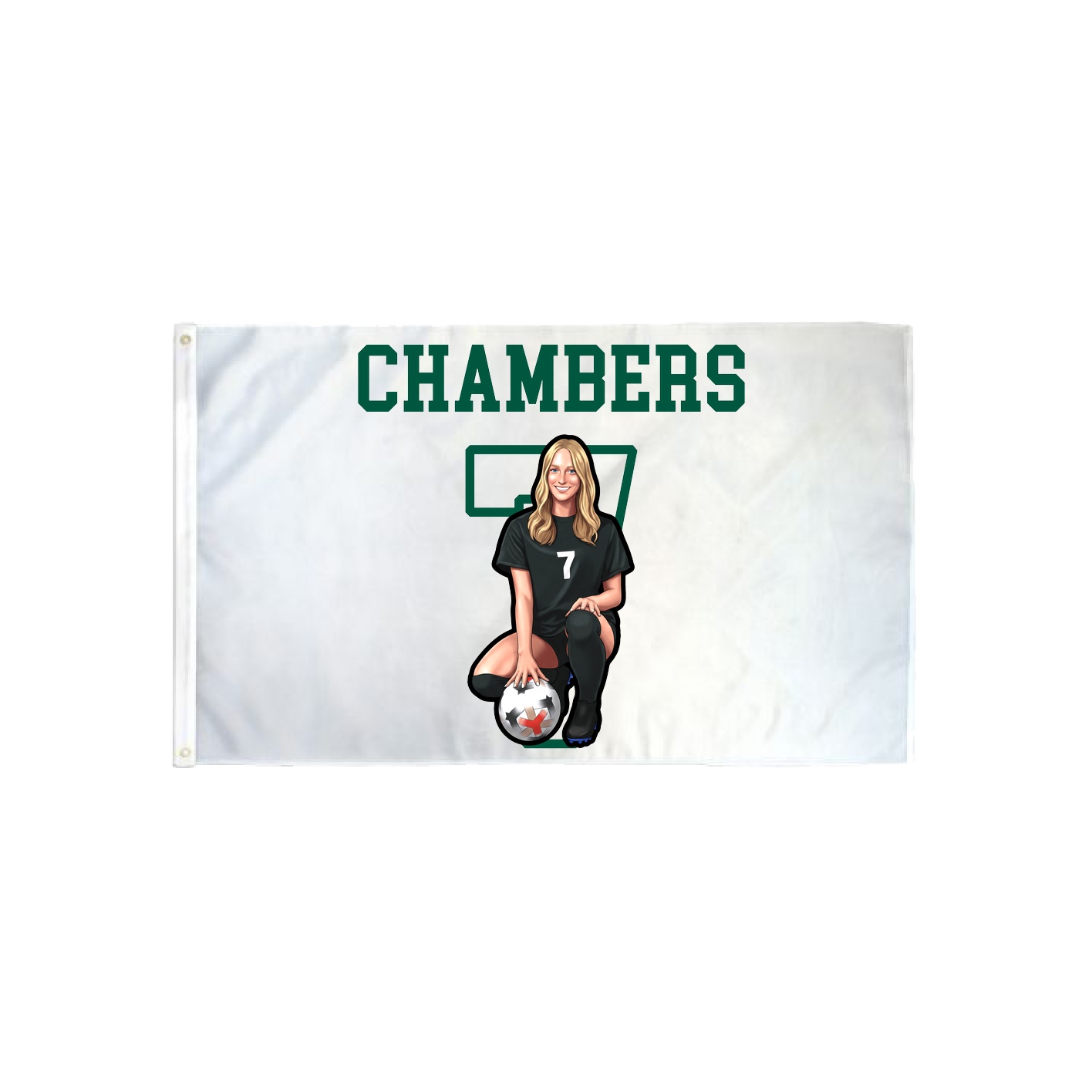 3x5 Flag — Shirsey in Classic