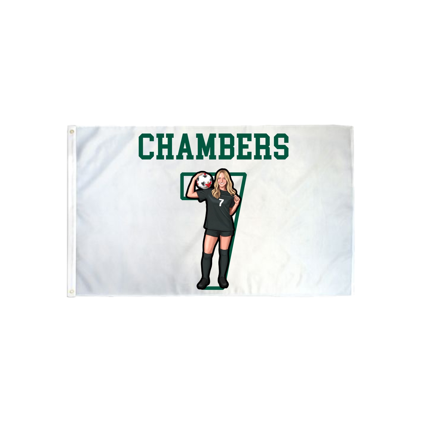 3x5 Flag — Shirsey in Classic