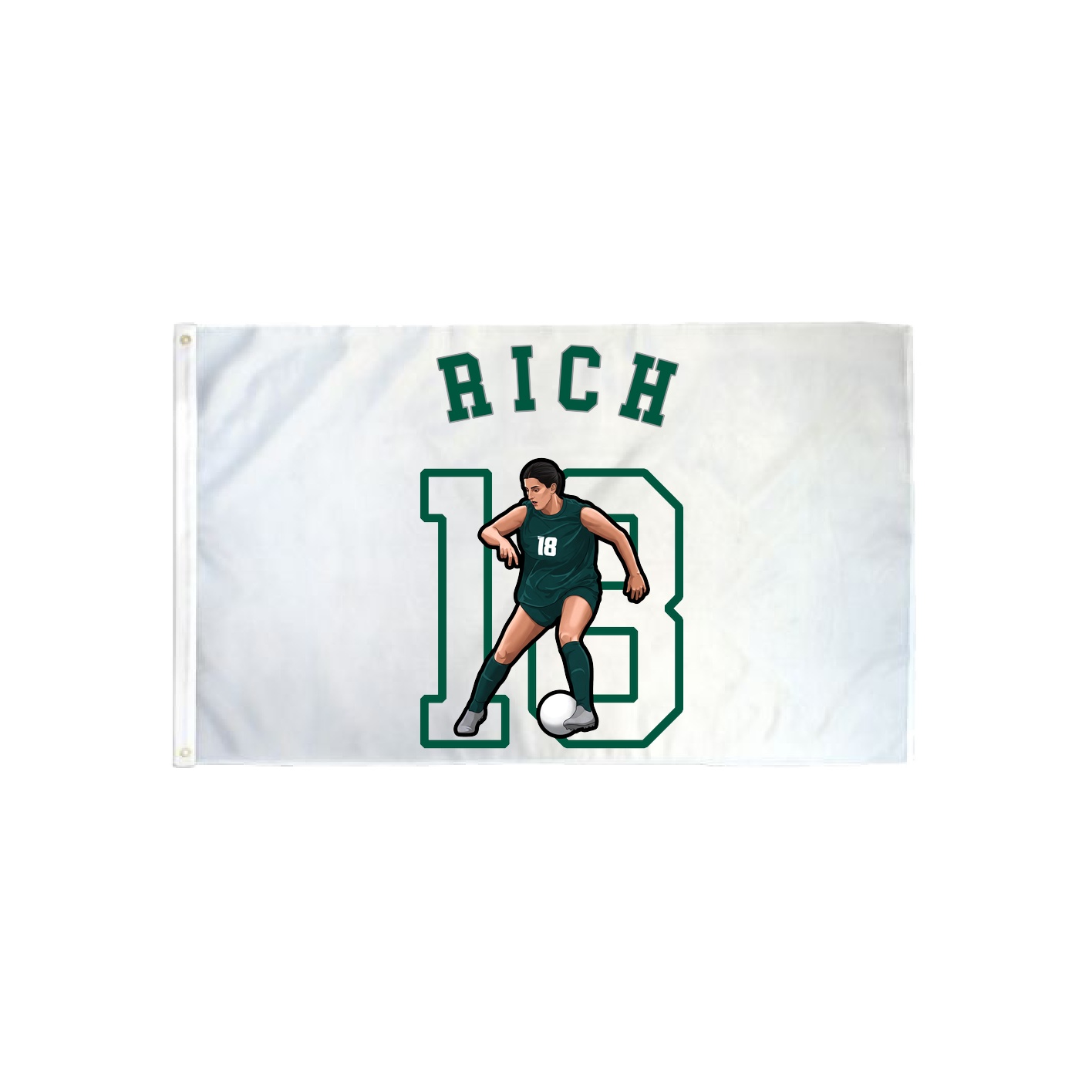 3x5 Flag — Shirsey Arch in Classic