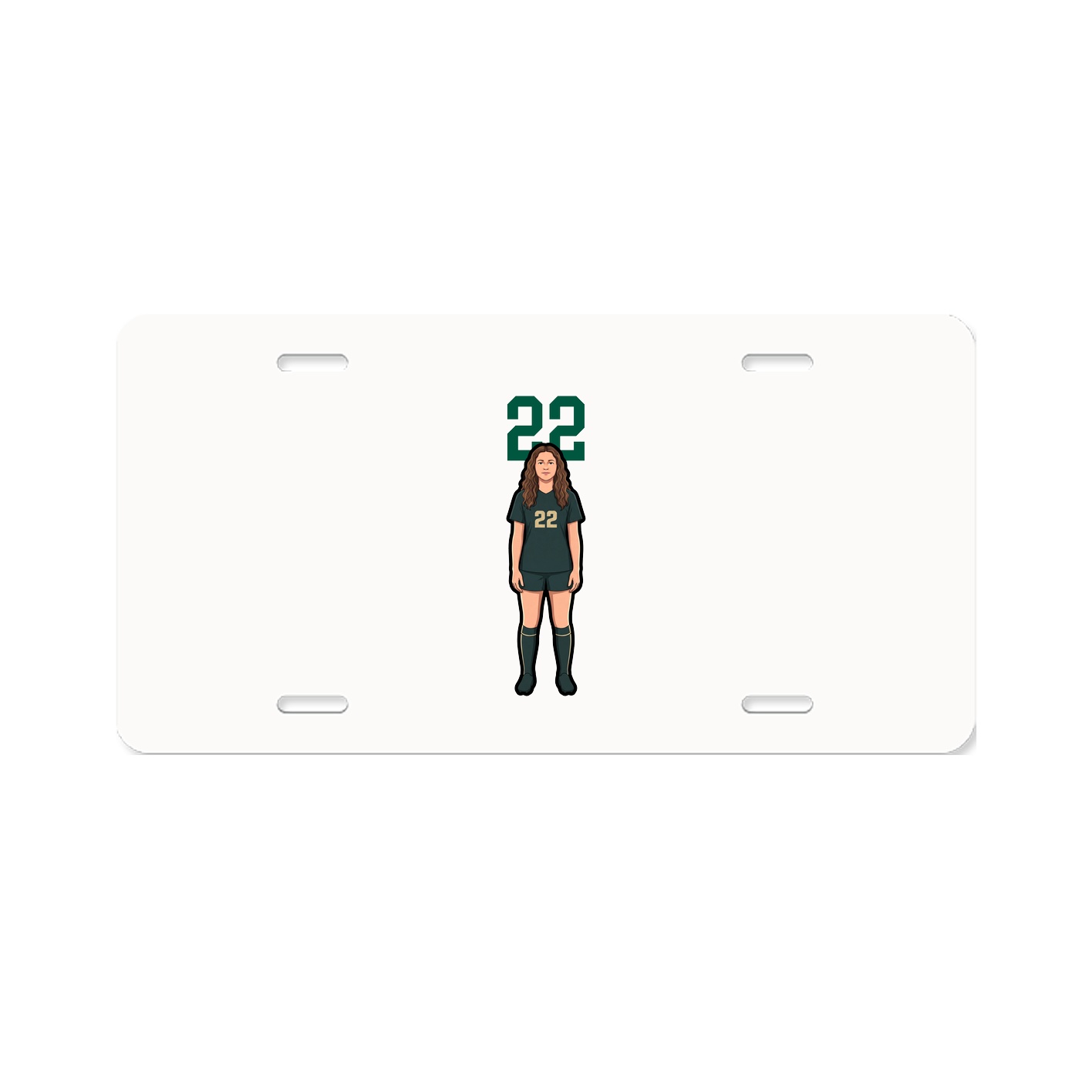 Aluminum License Plate