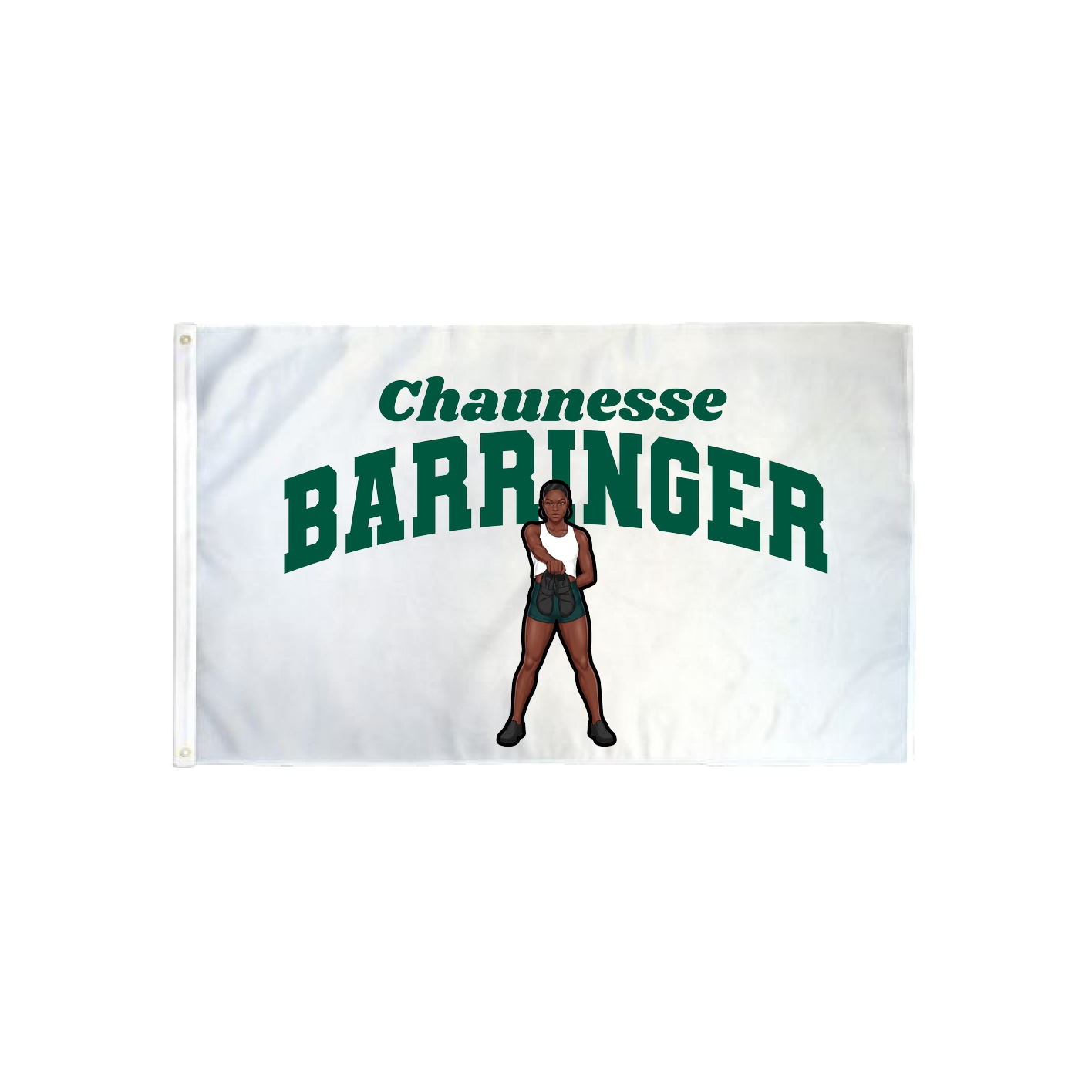 3x5 Flag — Signature Arch in Classic