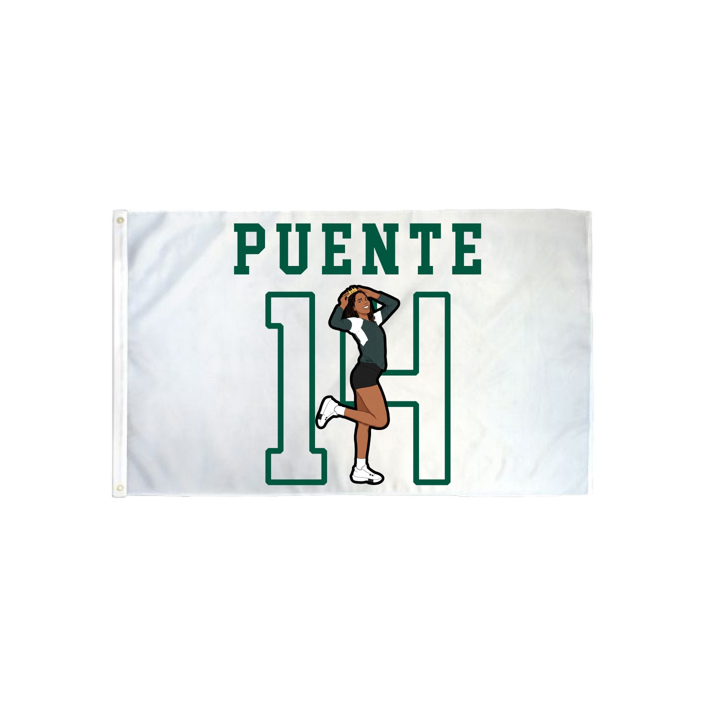3x5 Flag — Shirsey in Classic