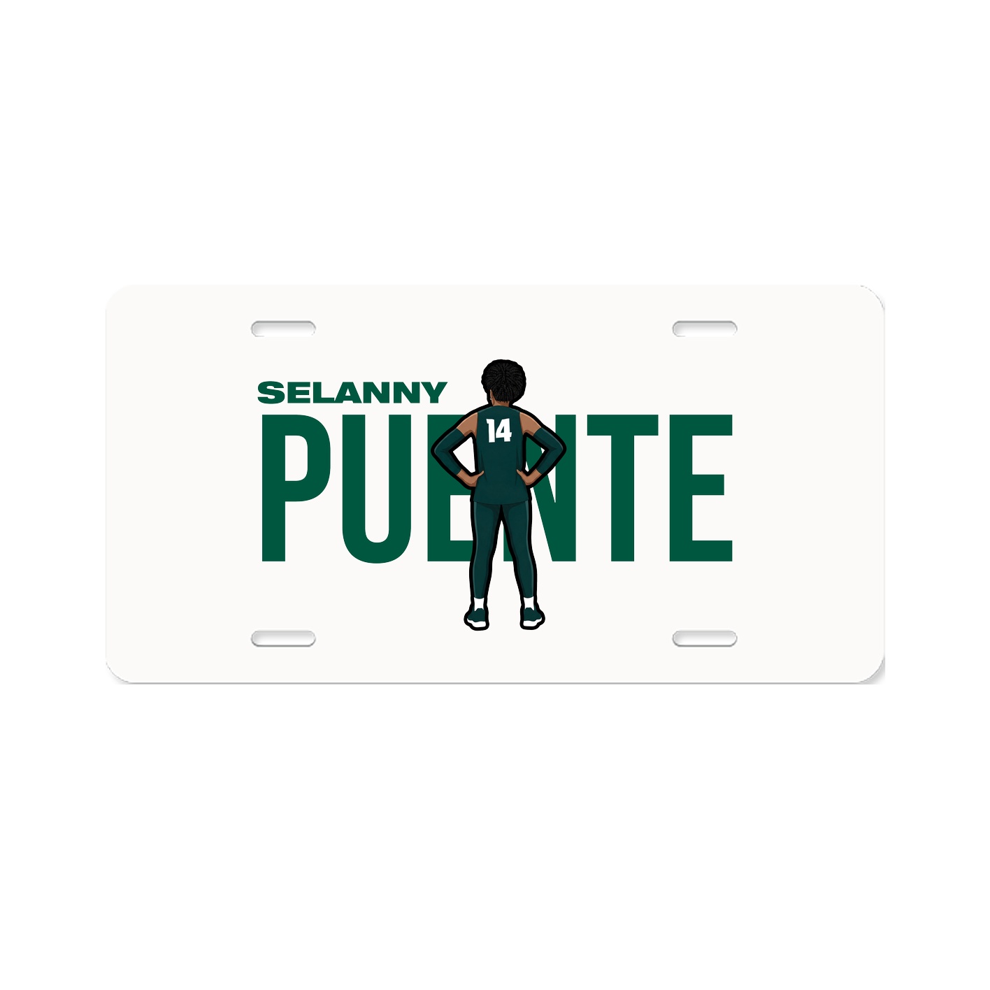 License Plate