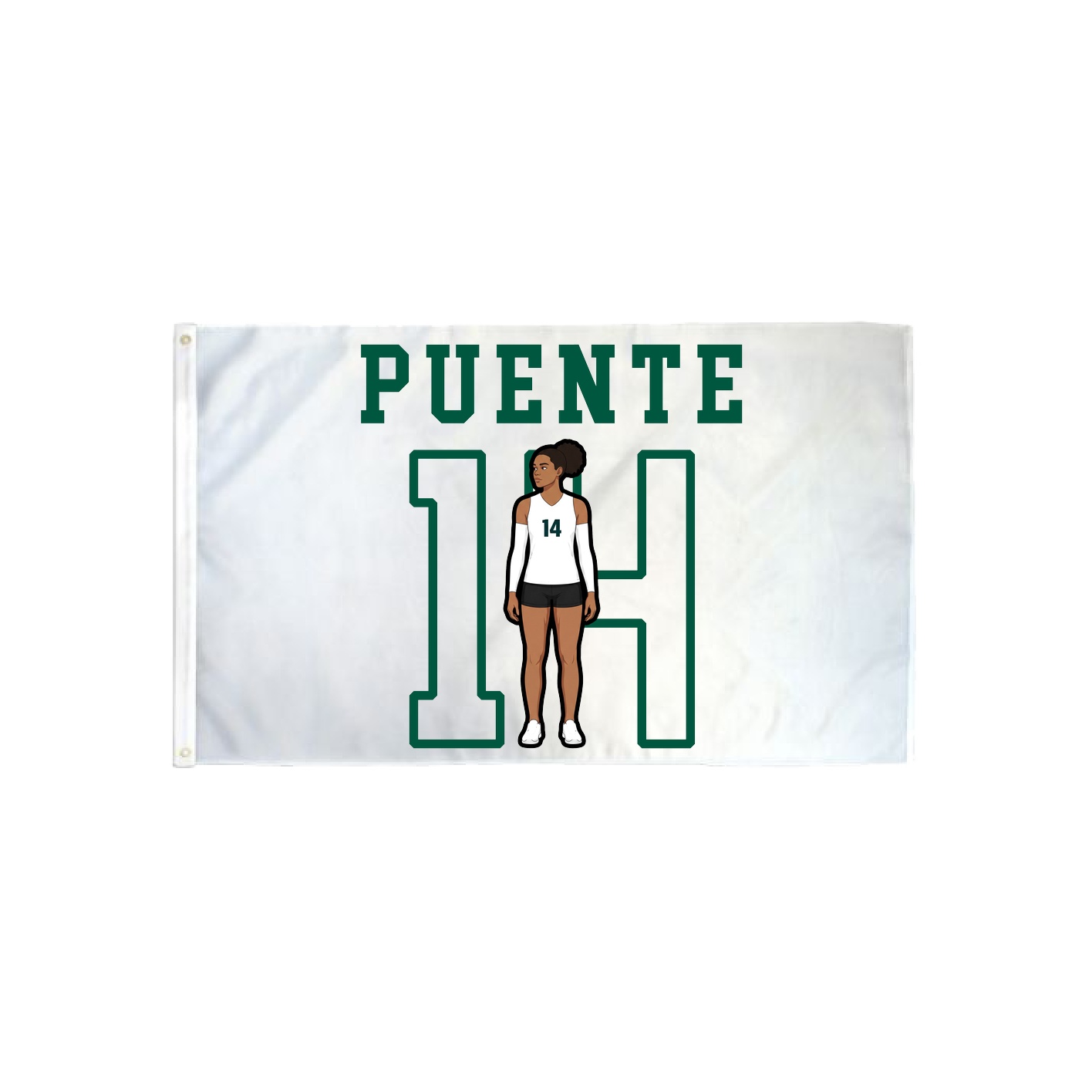 3x5 Flag — Shirsey in Classic