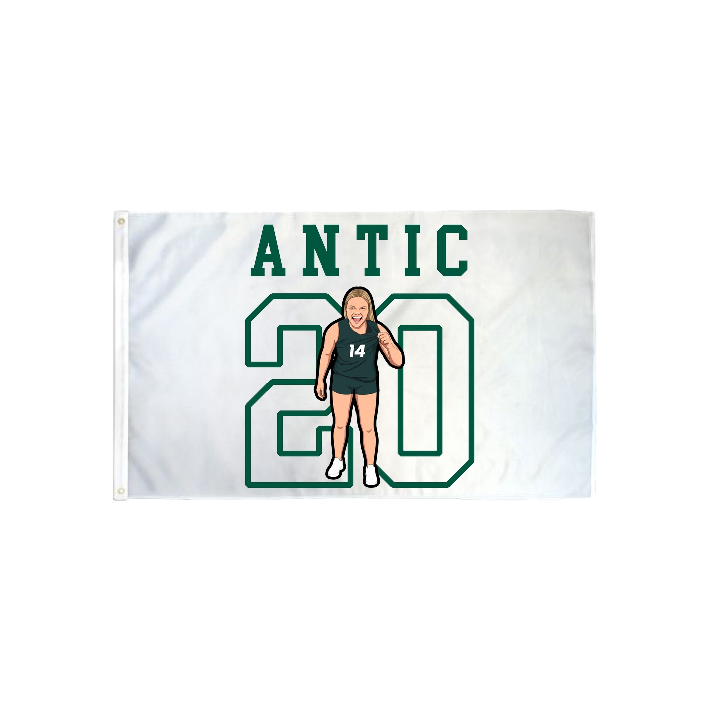3x5 Flag — Shirsey in Classic