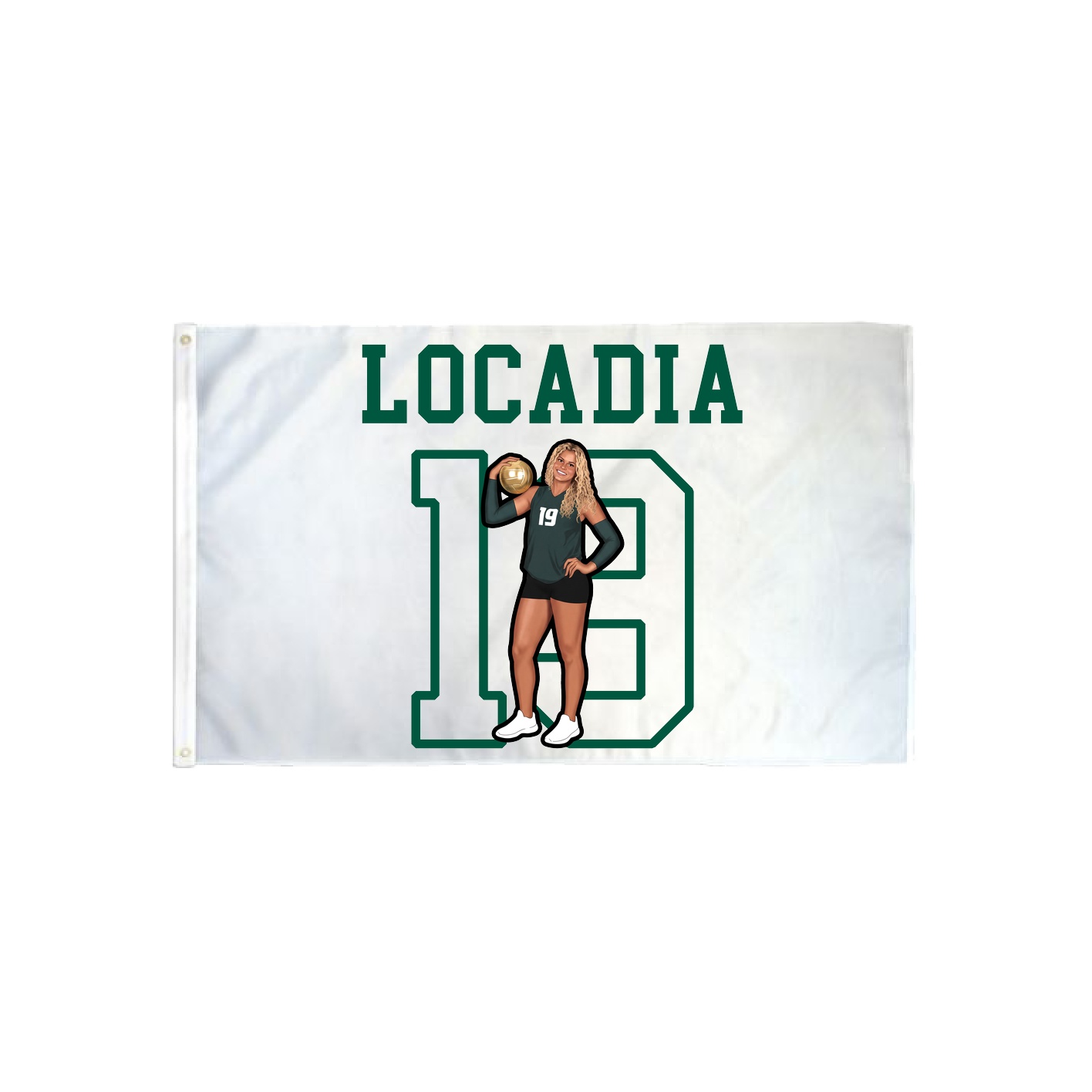 3x5 Flag — Shirsey in Classic