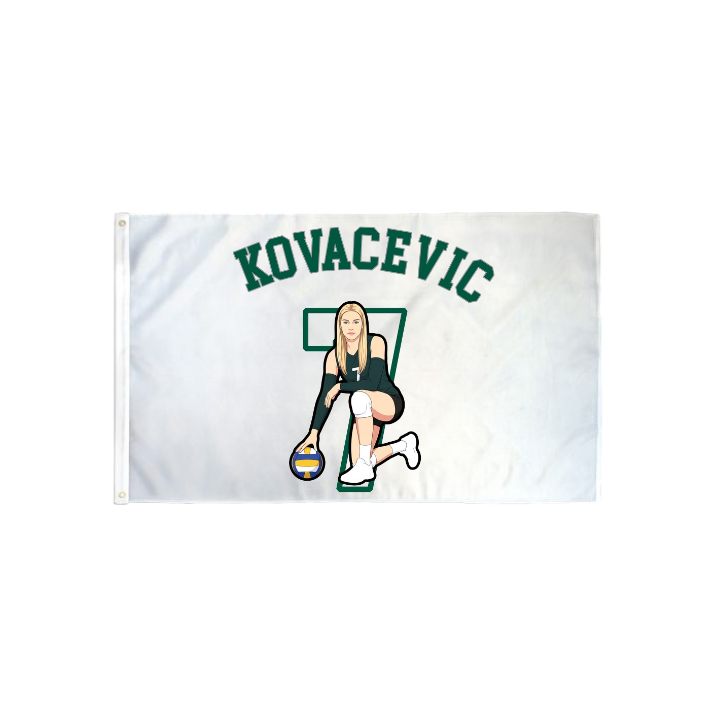 3x5 Flag — Shirsey Arch in Classic