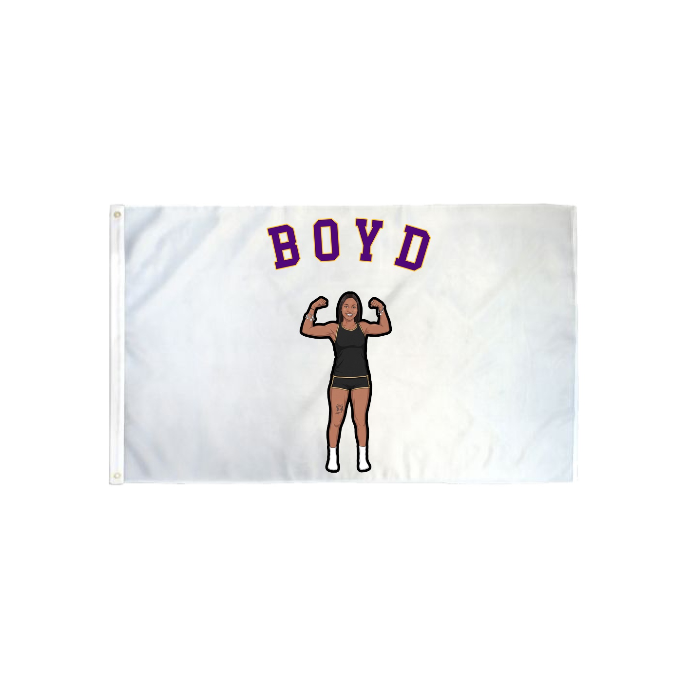 3x5 Flag — Shirsey Arch in Classic