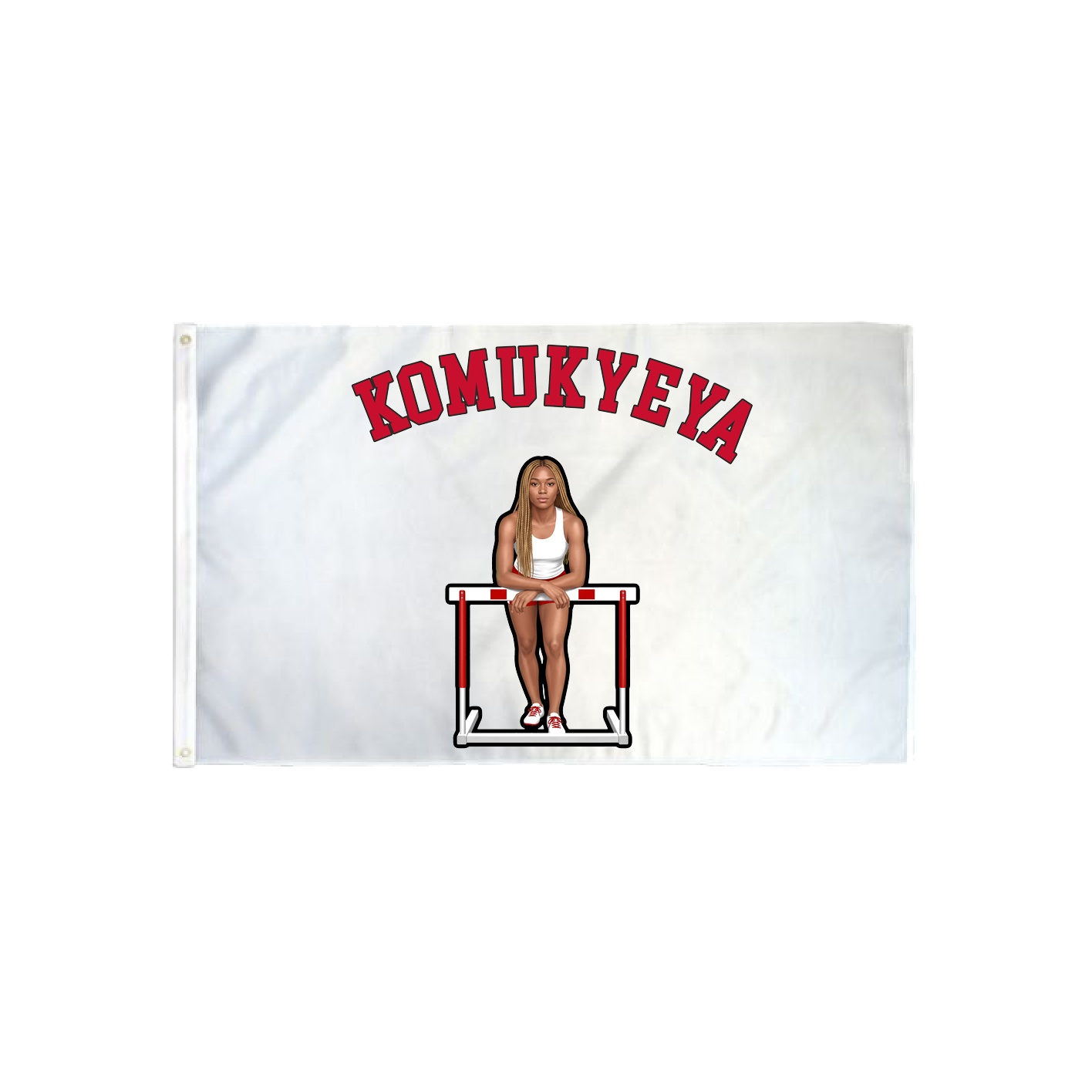3x5 Flag — Shirsey Arch in Classic