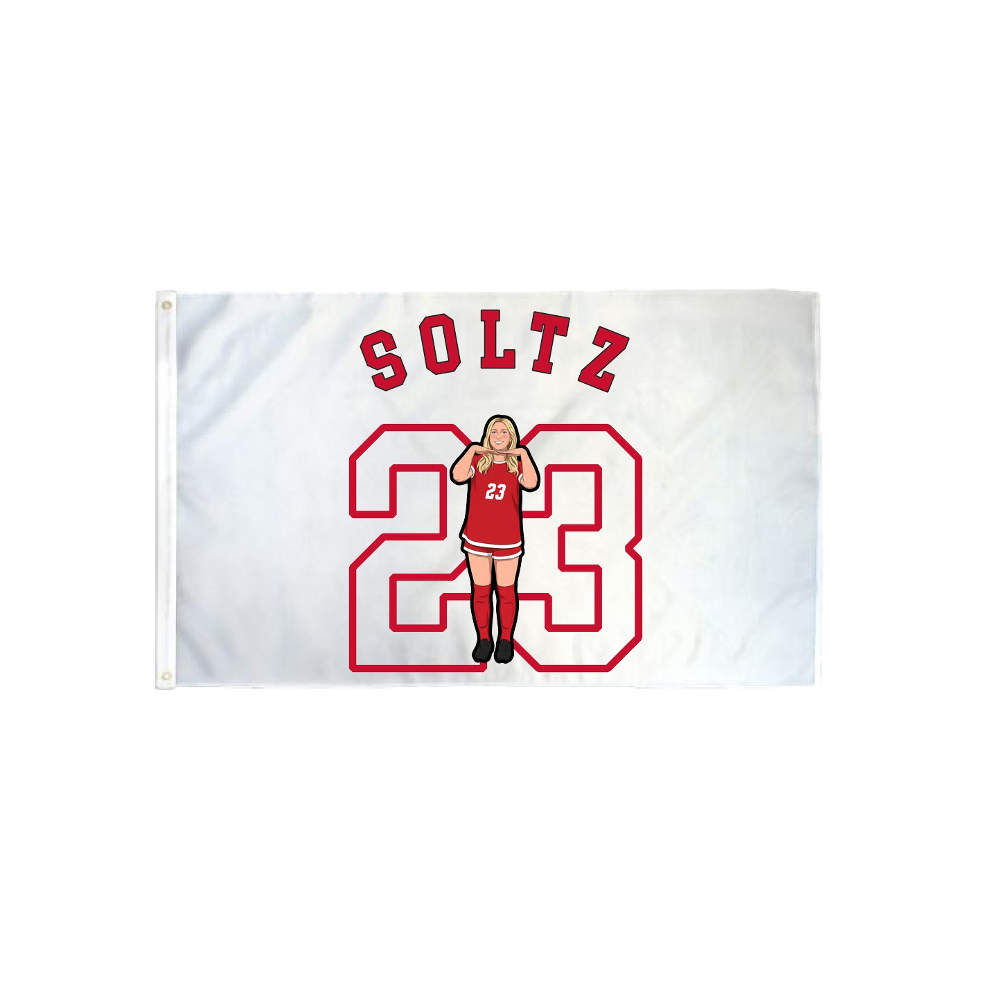 3x5 Flag — Shirsey Arch in Classic