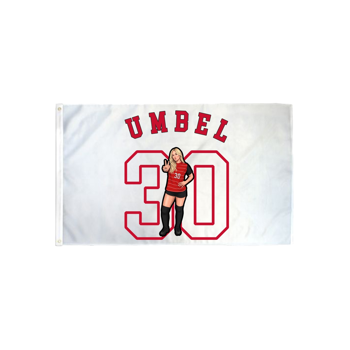 3x5 Flag — Shirsey Arch in Classic