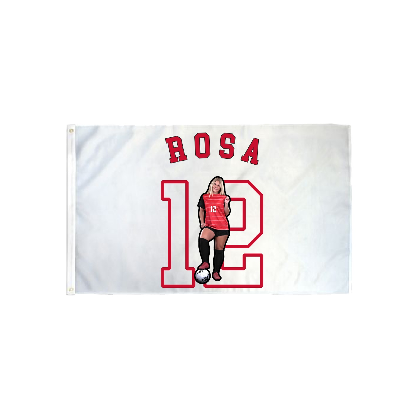 3x5 Flag — Shirsey Arch in Classic