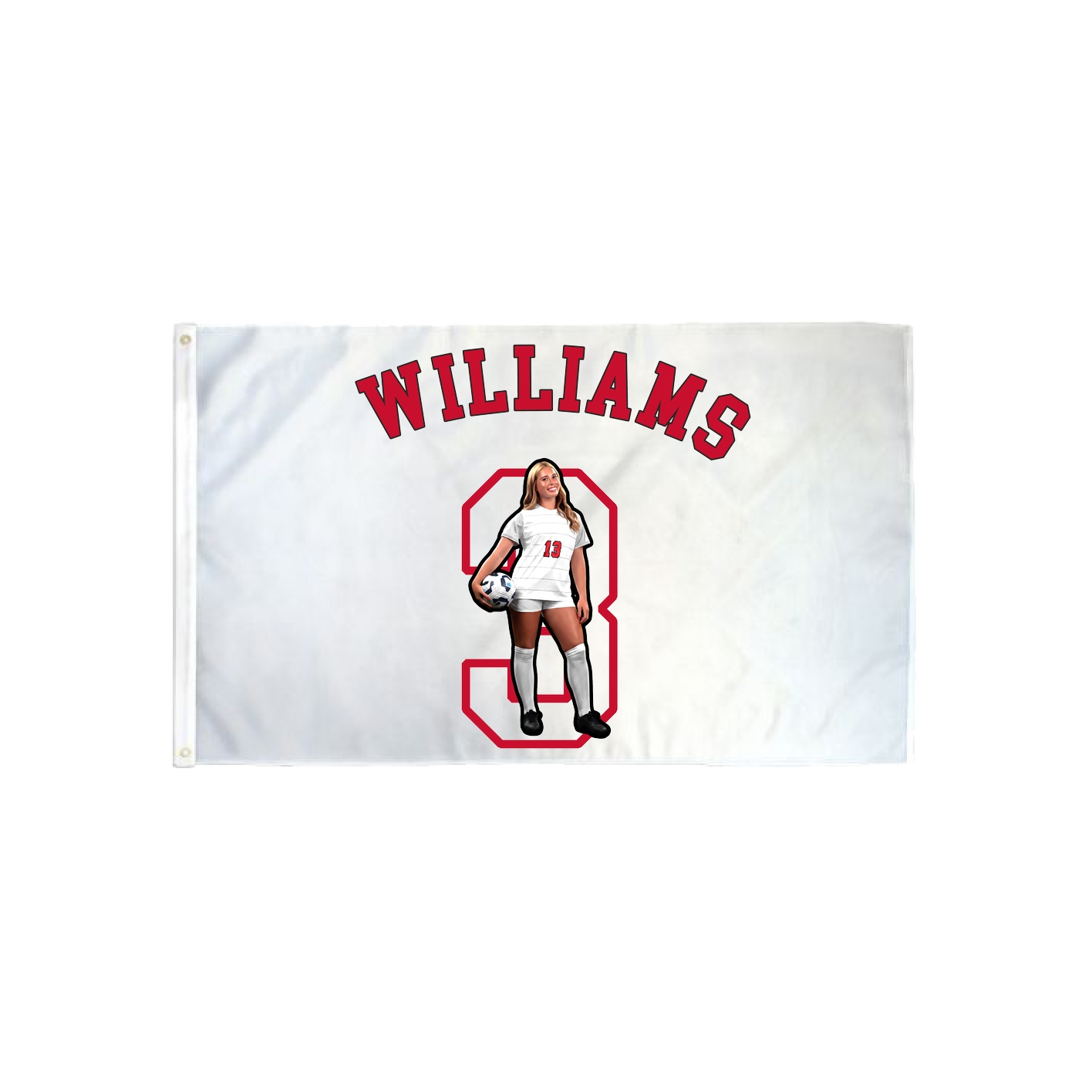 3x5 Flag — Shirsey Arch in Classic