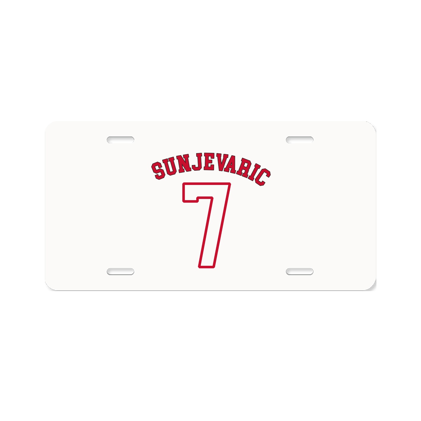 License Plate