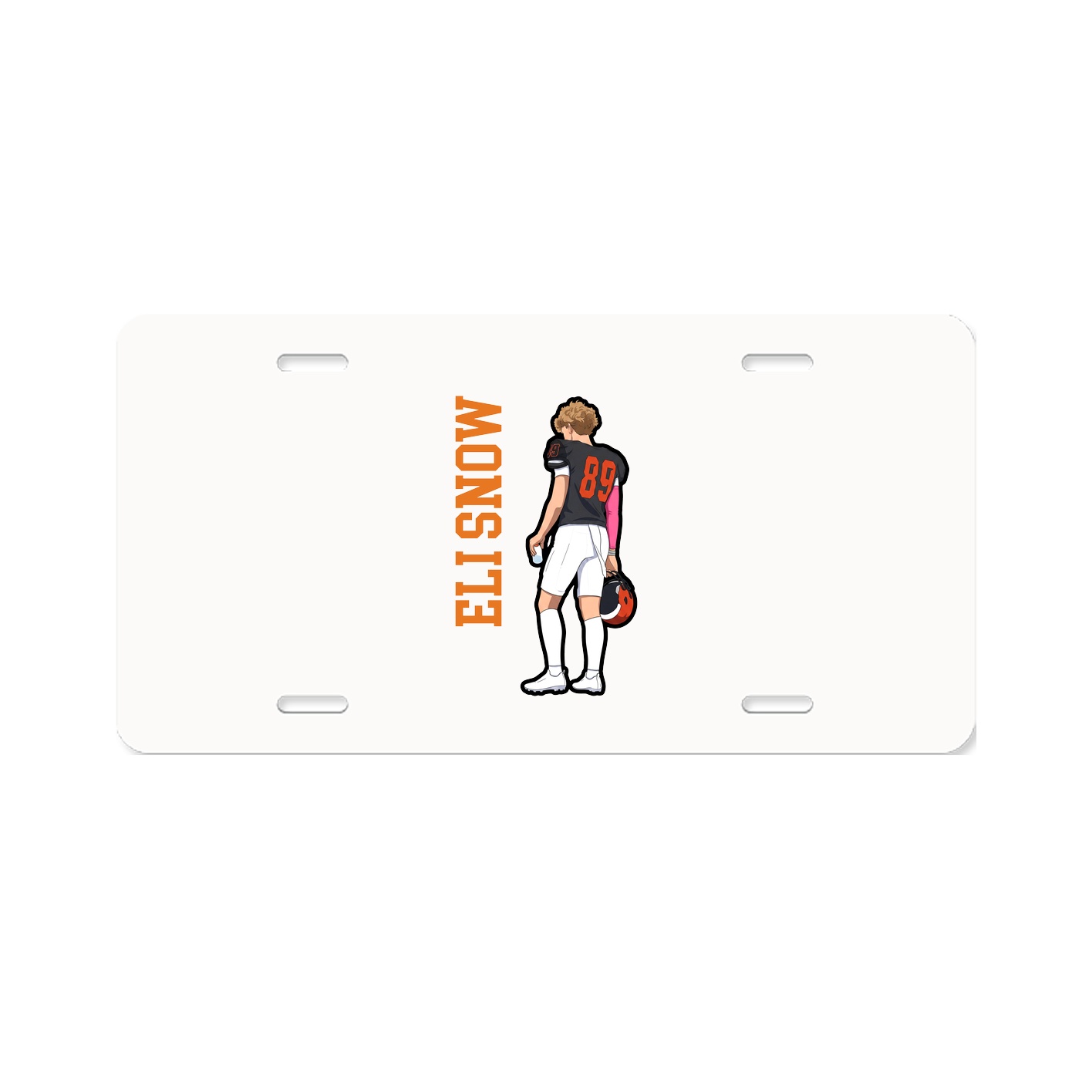 License Plate