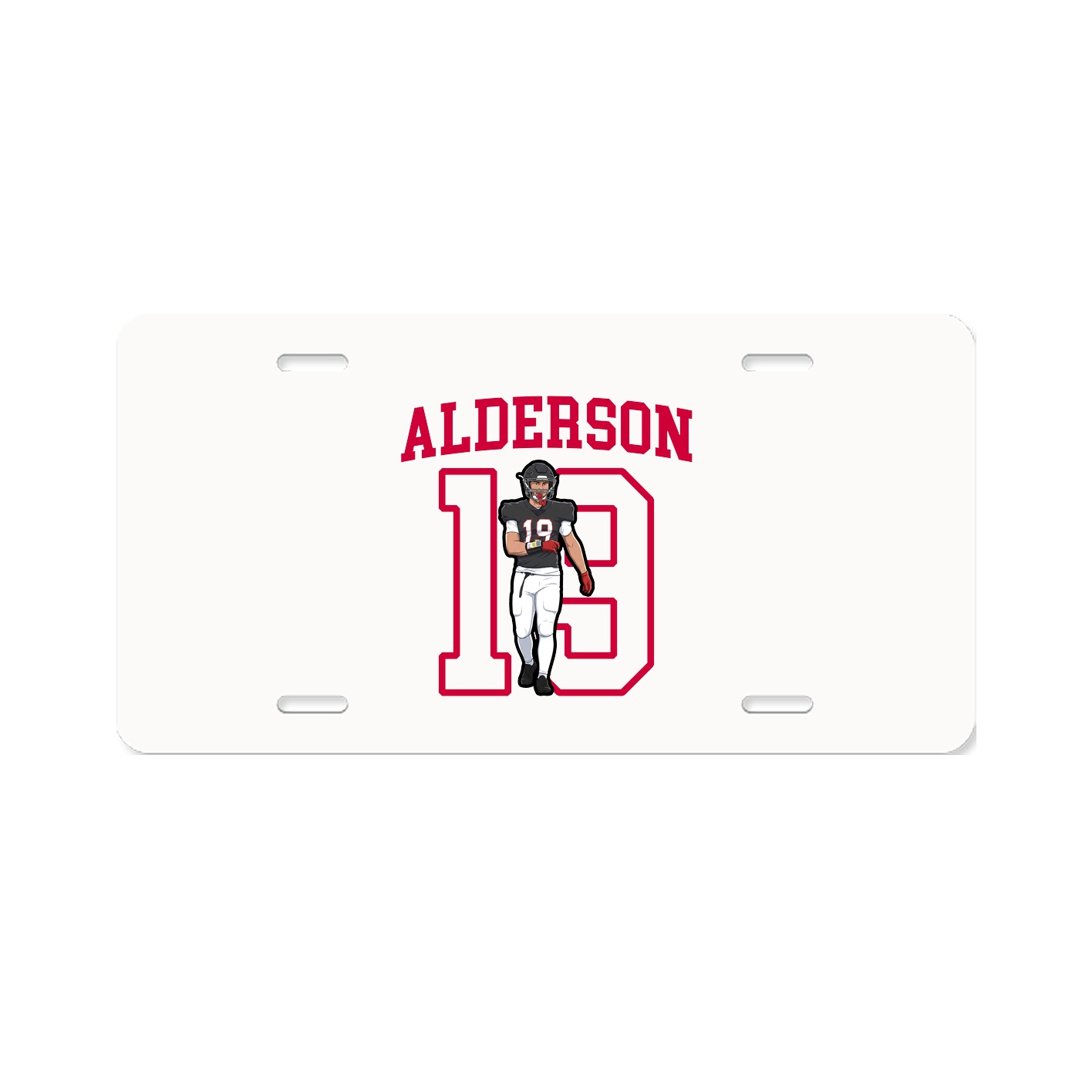 Aluminum License Plate