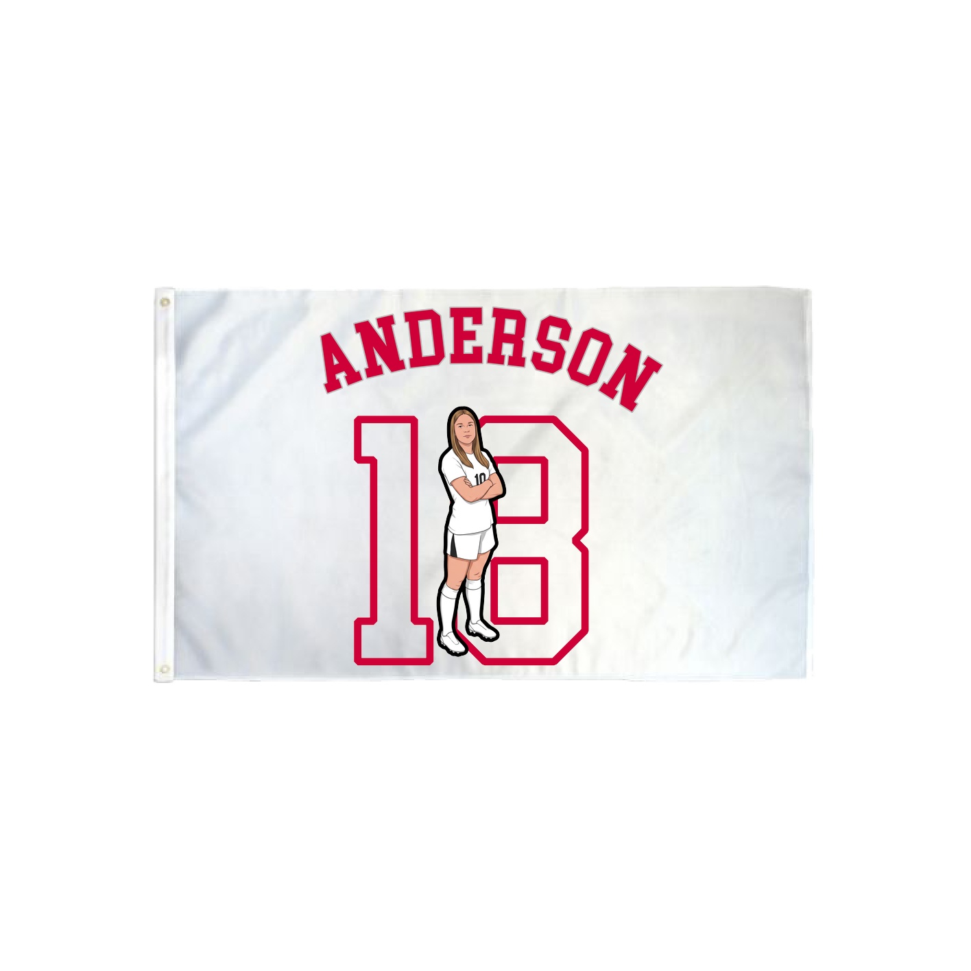 3x5 Flag — Shirsey Arch in Classic