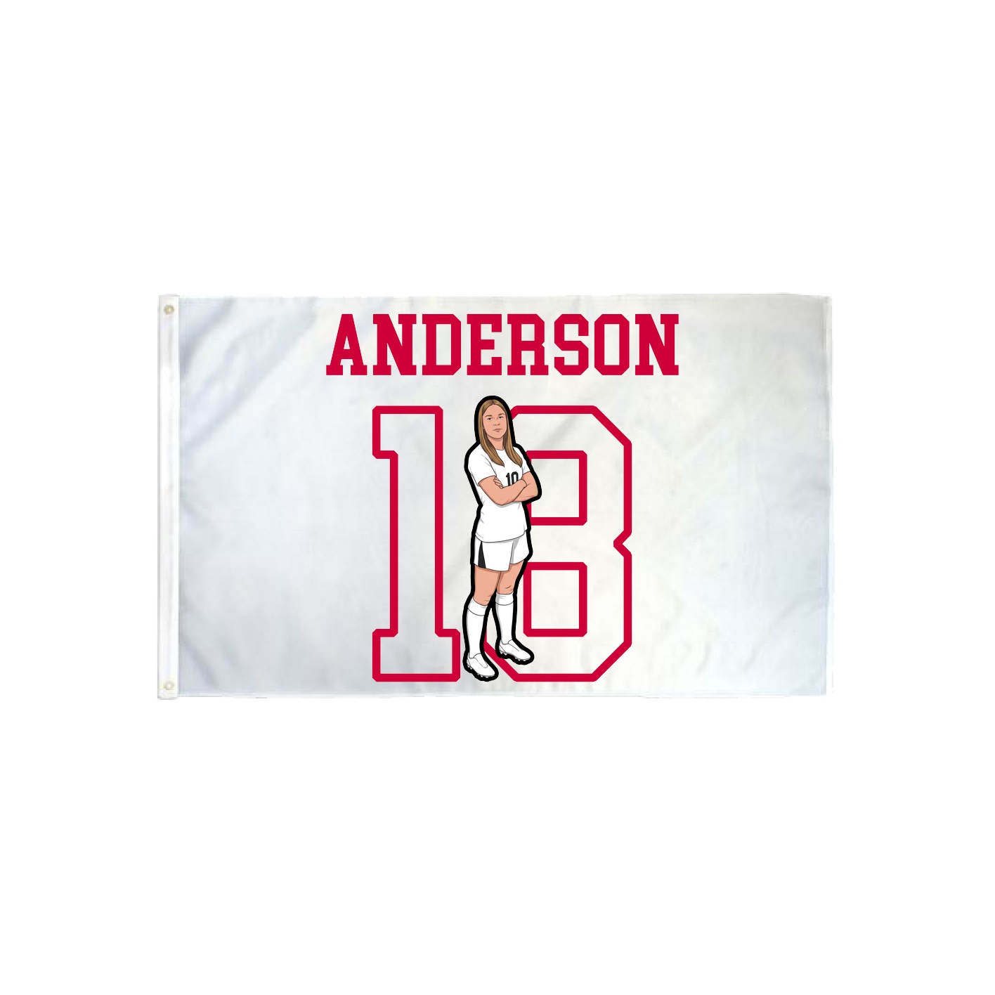 3x5 Flag — Shirsey in Classic