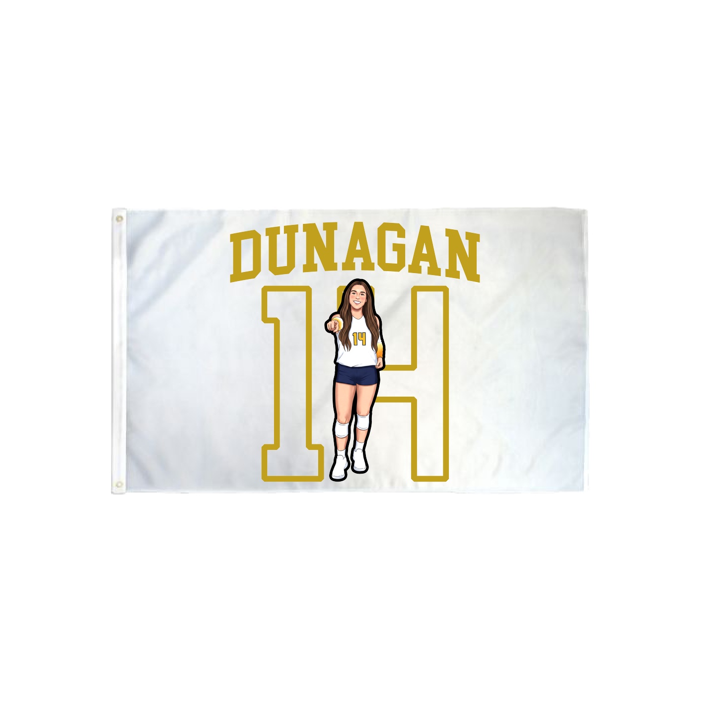 3x5 Flag — Shirsey in Classic