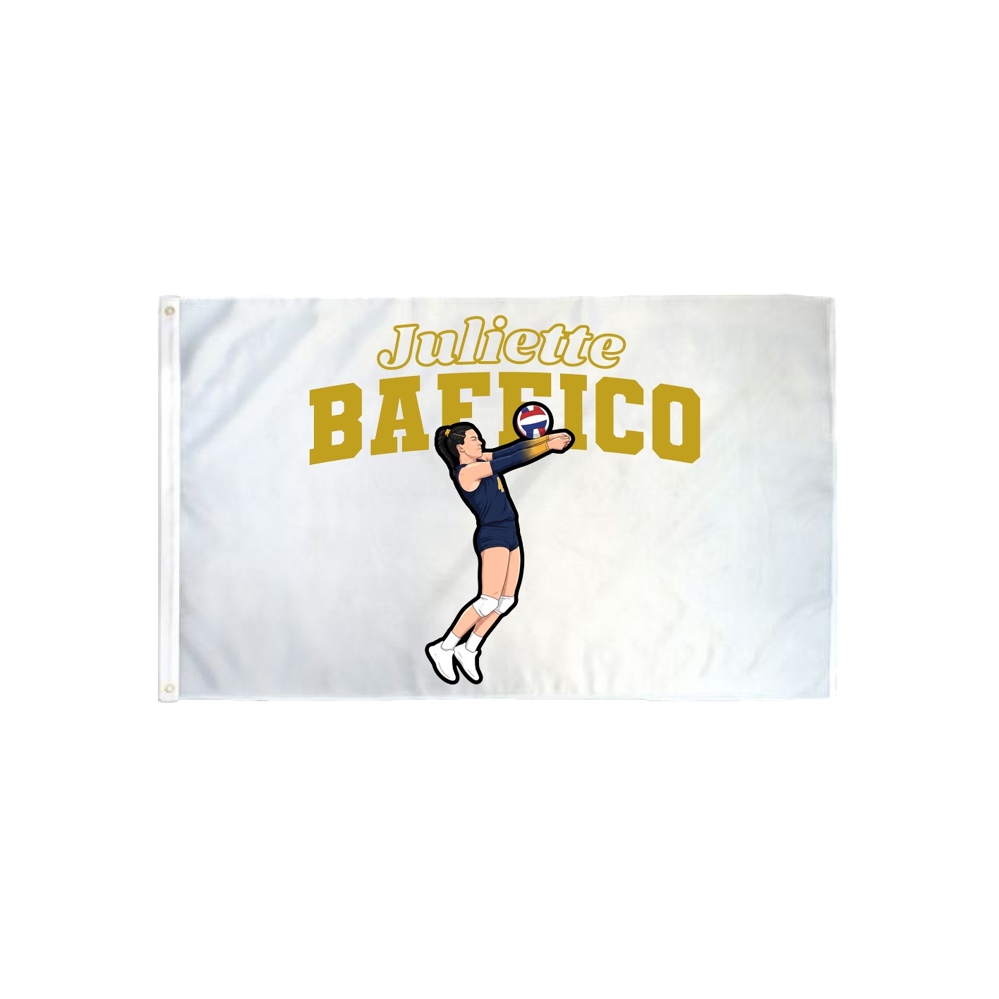 3x5 Flag — Name Arch in Classic