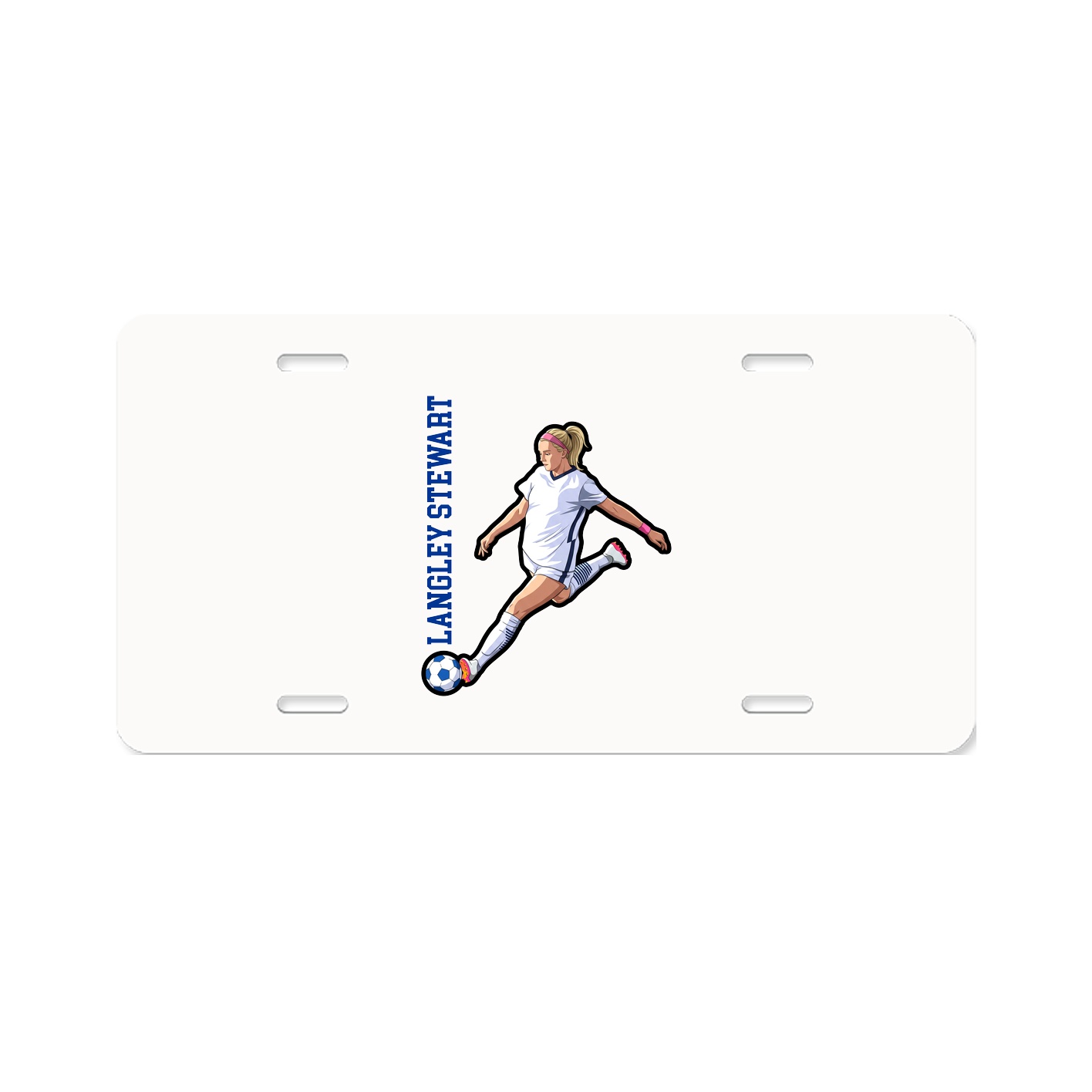 Aluminum License Plate