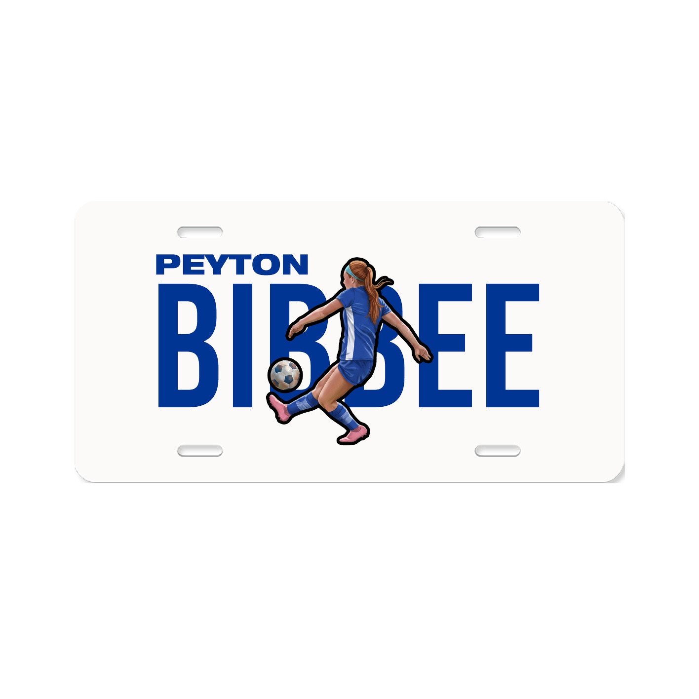 License Plate