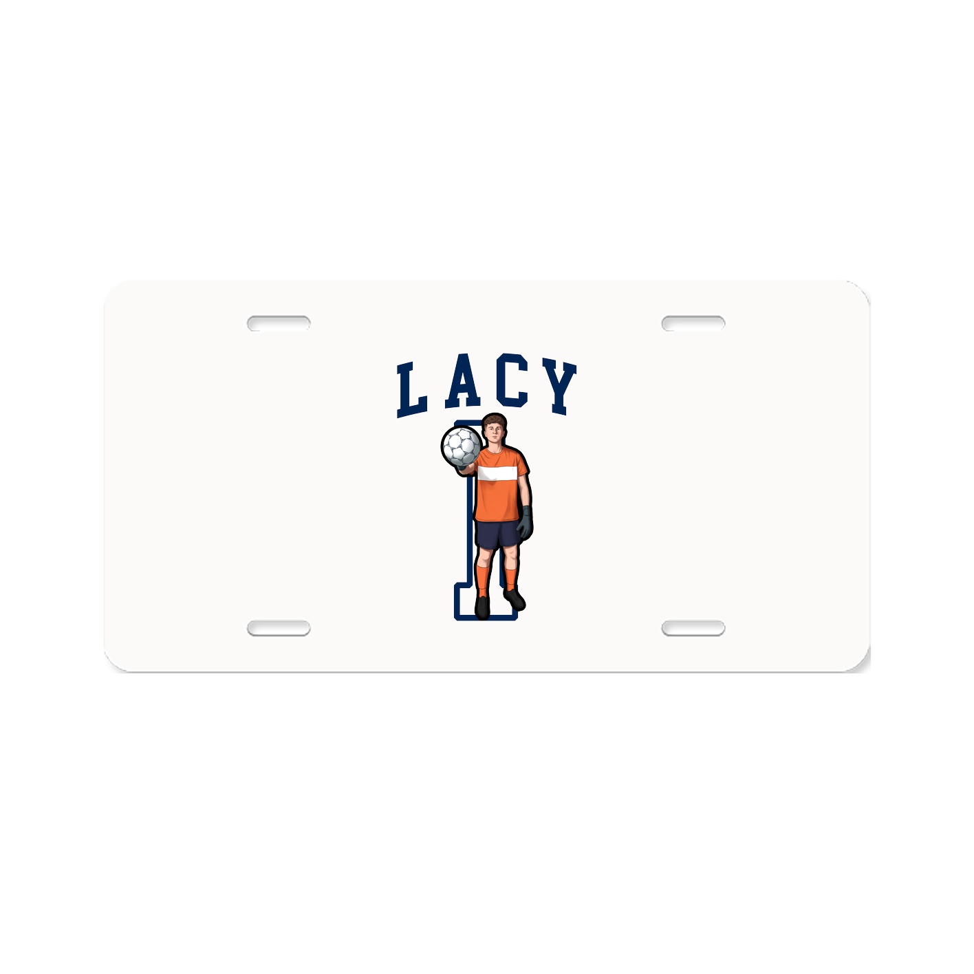 Aluminum License Plate