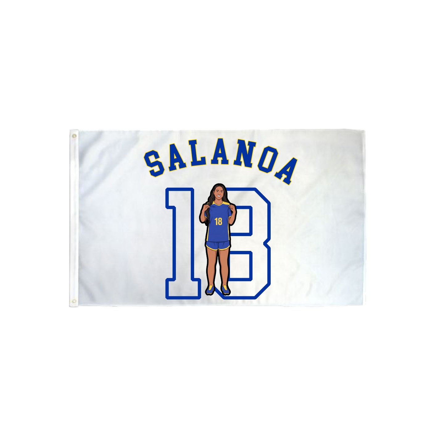 3x5 Flag — Shirsey Arch in Classic