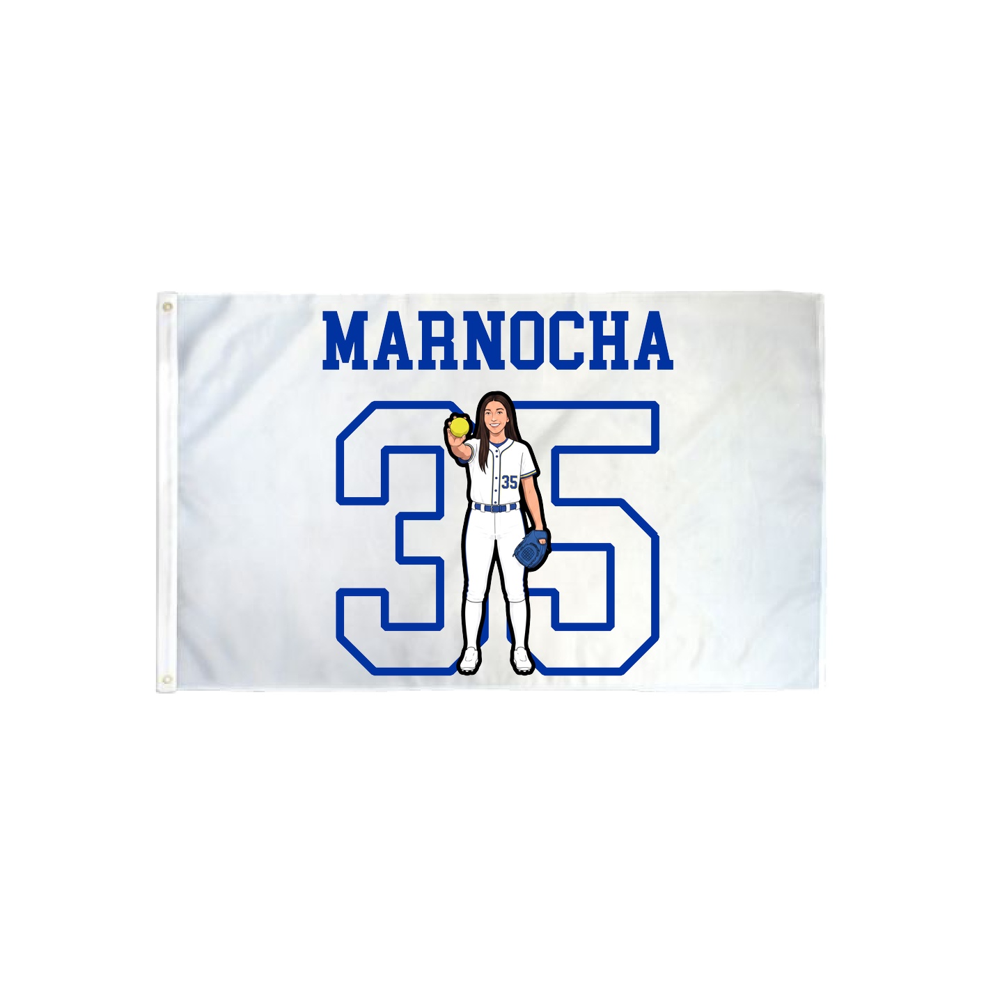 3x5 Flag — Shirsey in Classic