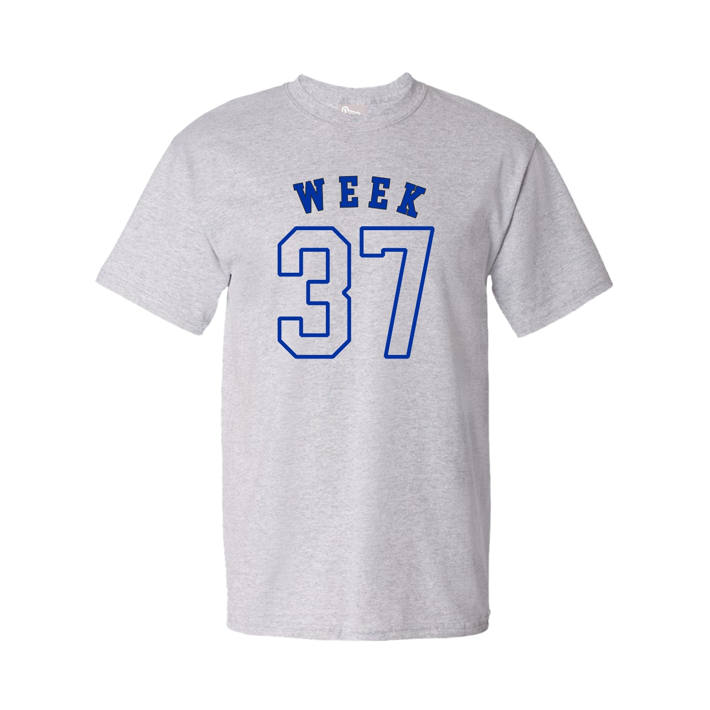 Tee — Shirsey Arch in Grey