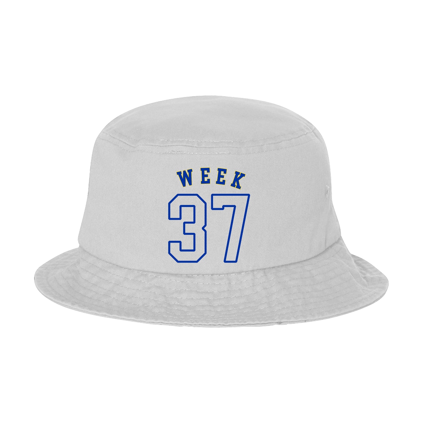 Bucket Cap — Shirsey Arch in White