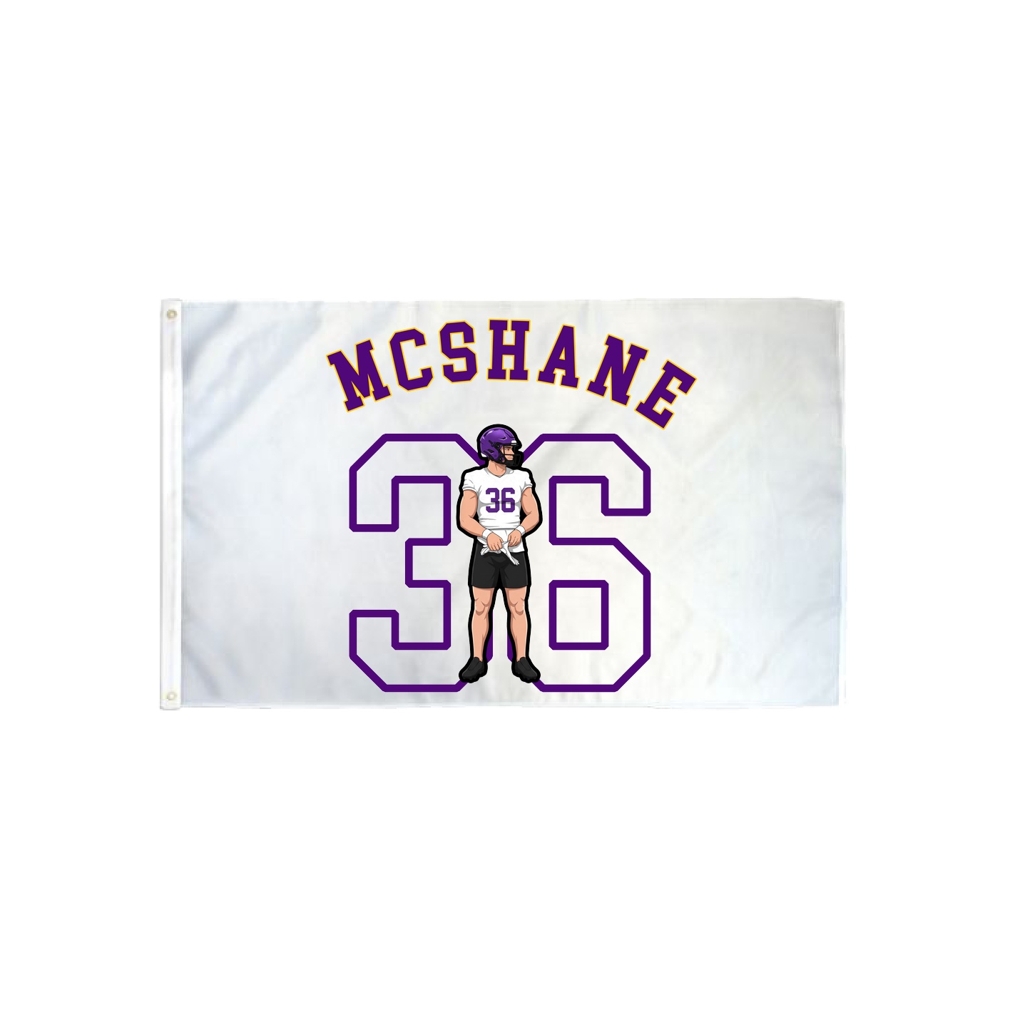 3x5 Flag — Shirsey Arch in Classic