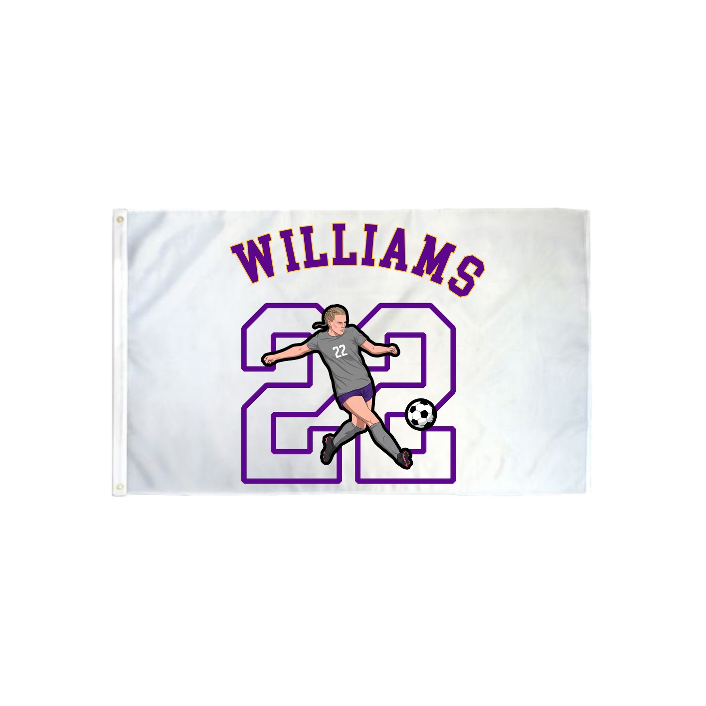 3x5 Flag — Shirsey Arch in Classic